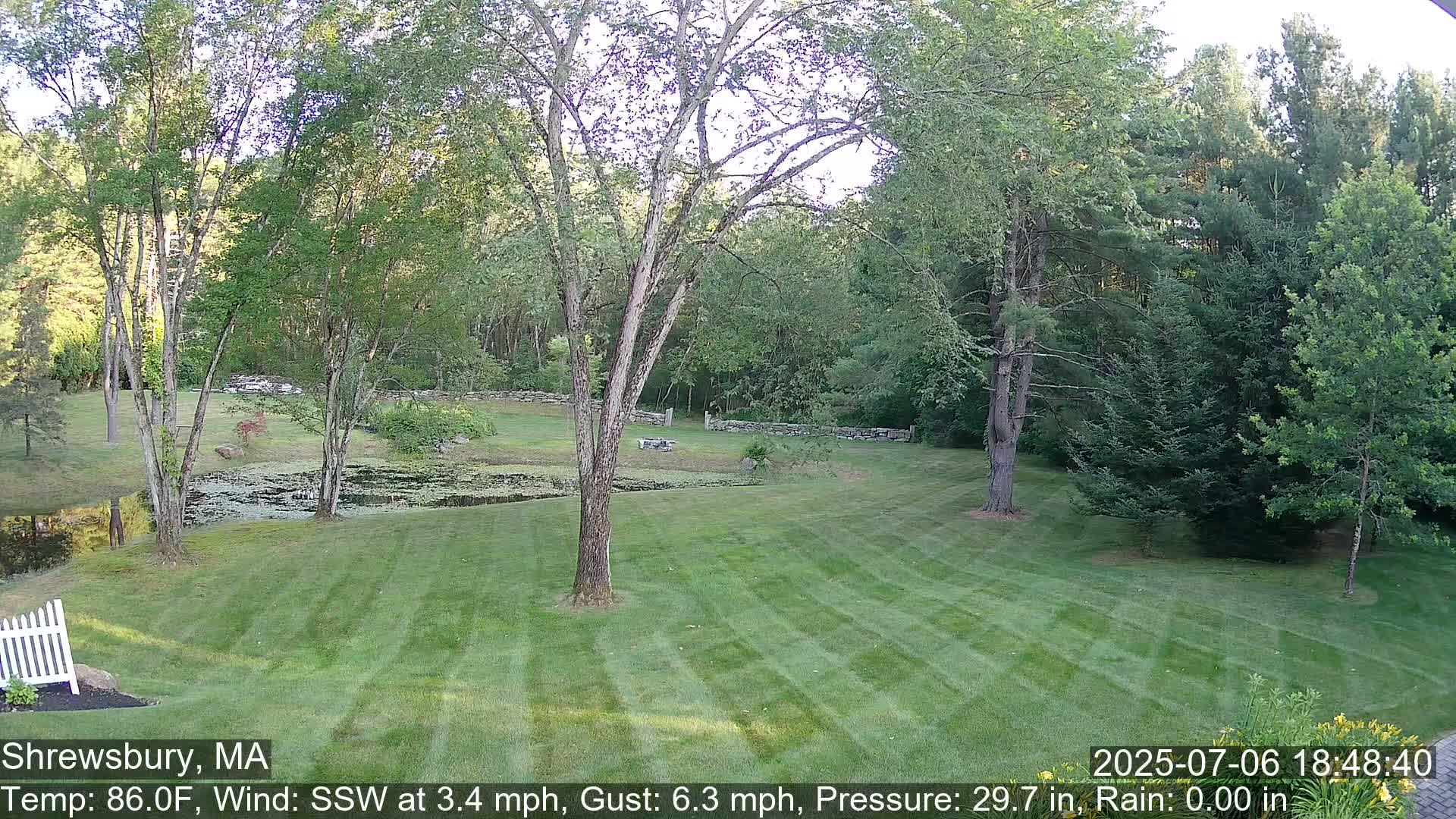 Scenic Pond and Trees Live Cam - Shrewsbury, Massachusetts , USA