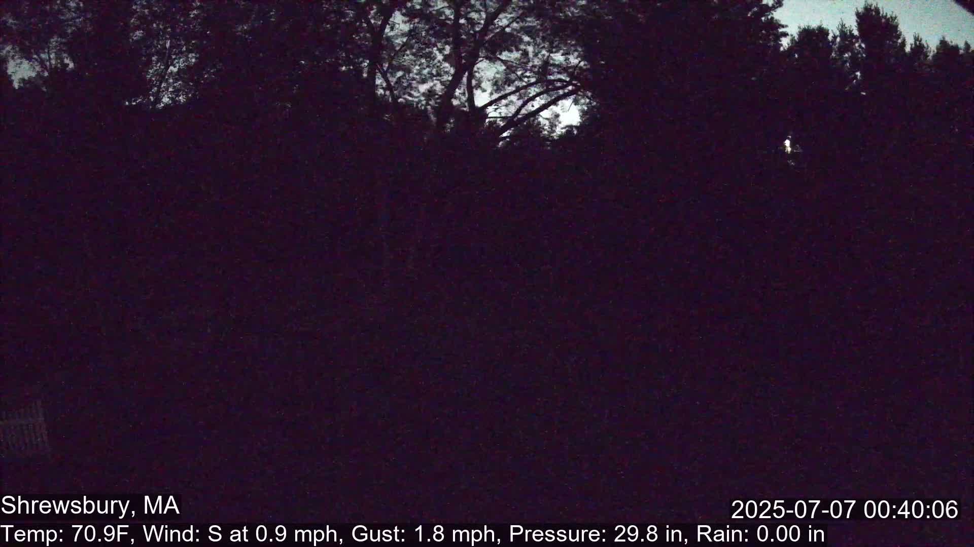 Scenic Pond and Trees Live Cam - Shrewsbury, Massachusetts , USA
