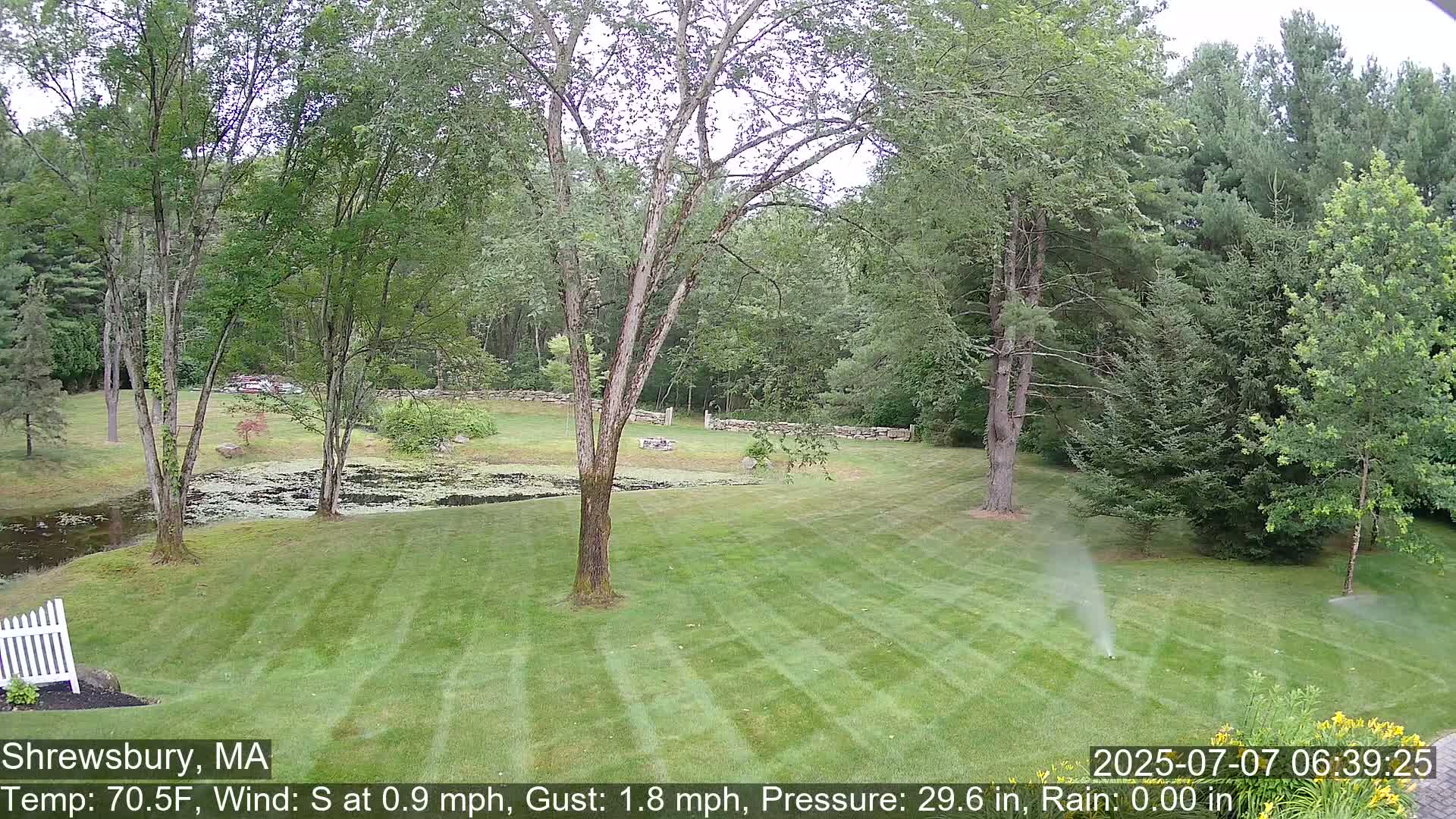 Scenic Pond and Trees Live Cam - Shrewsbury, Massachusetts , USA