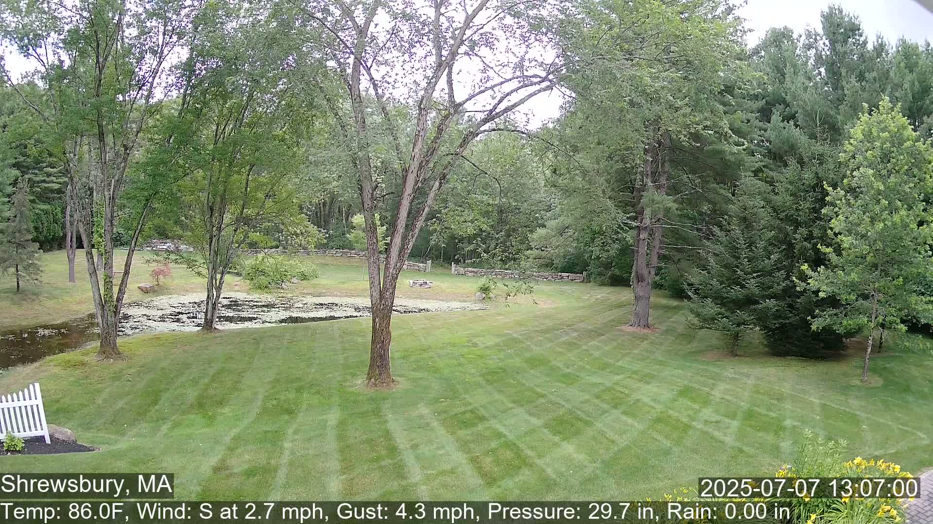 Scenic Pond and Trees Live Cam - Shrewsbury, Massachusetts , USA