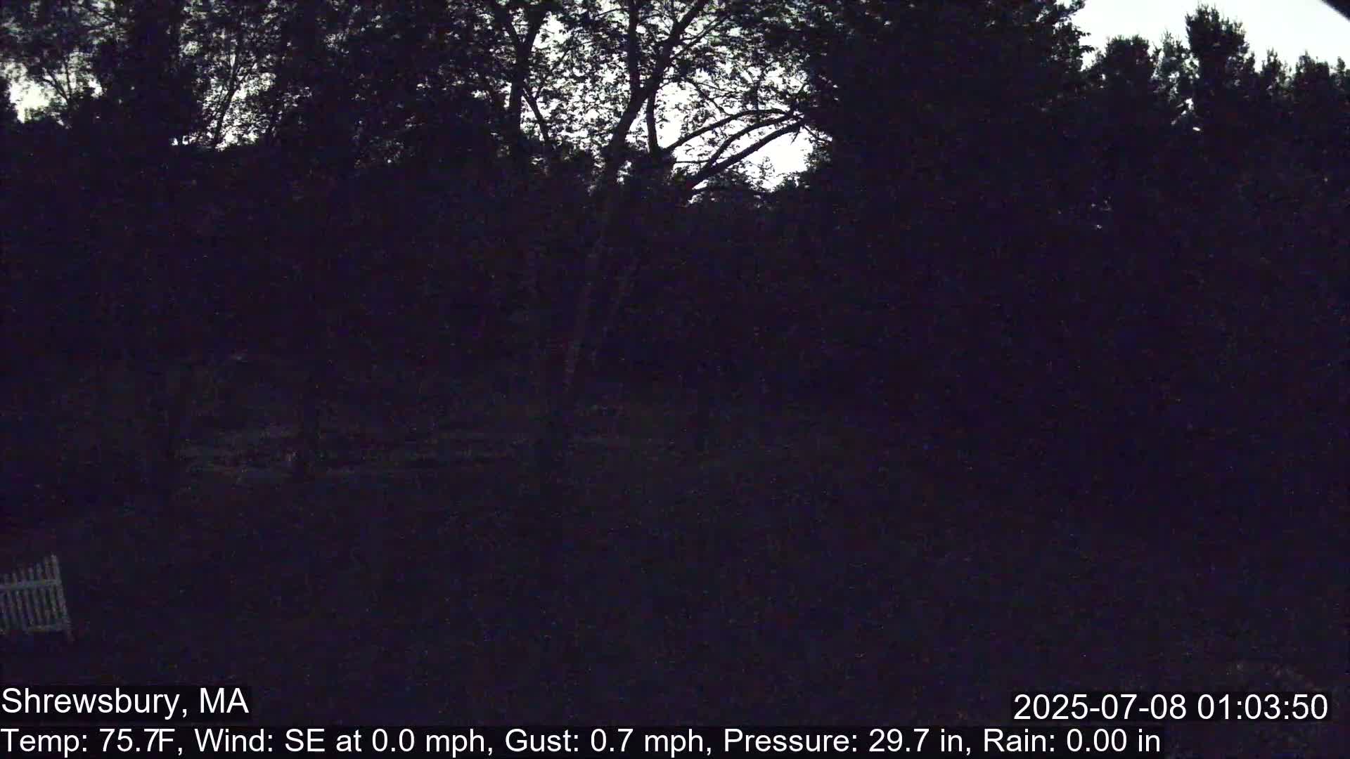 Scenic Pond and Trees Live Cam - Shrewsbury, Massachusetts , USA