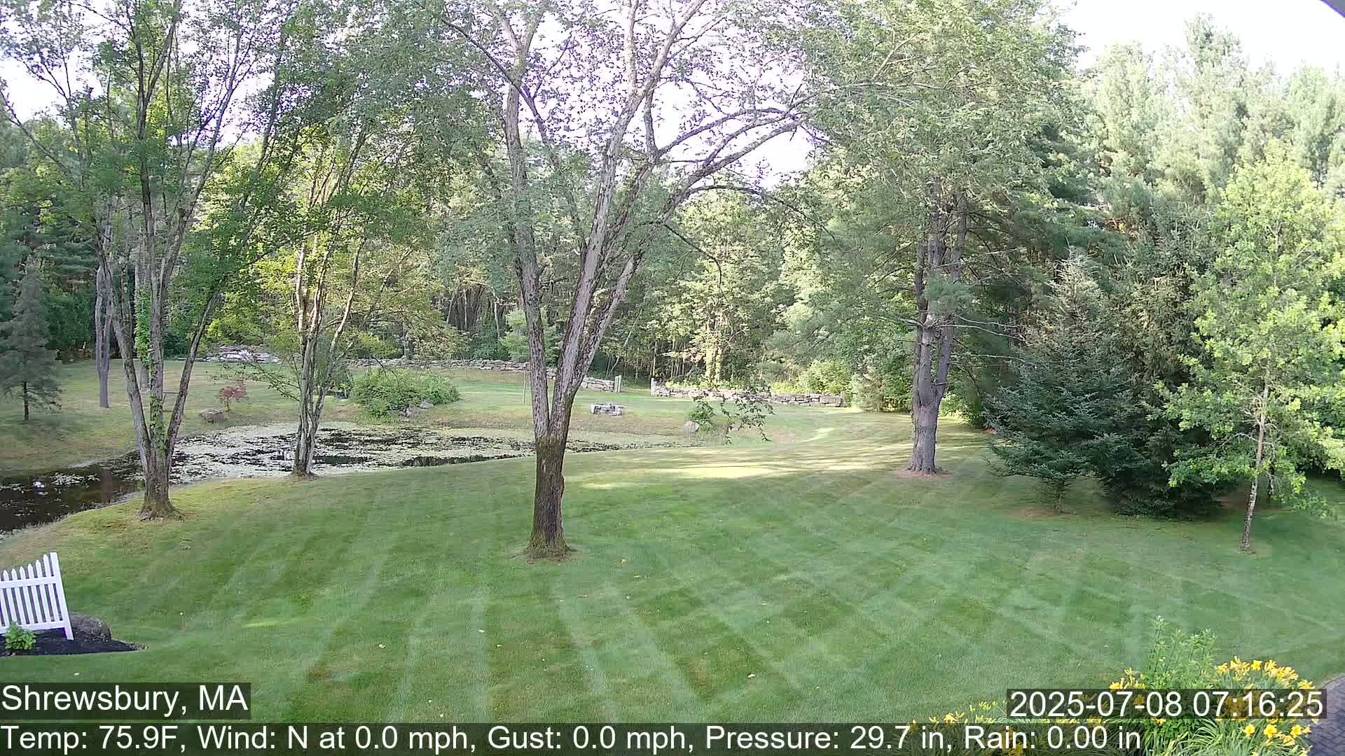 Scenic Pond and Trees Live Cam - Shrewsbury, Massachusetts , USA