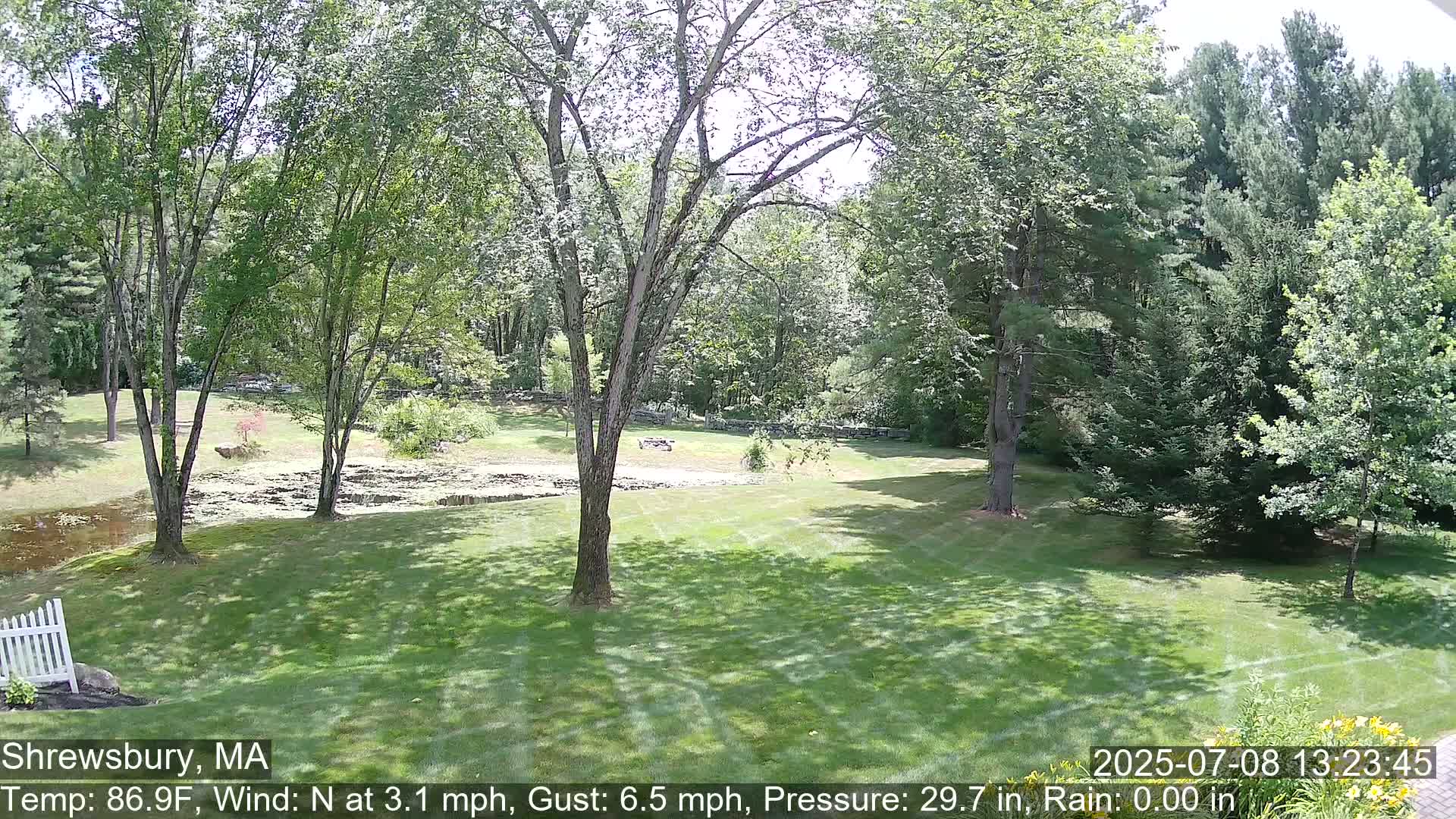 Scenic Pond and Trees Live Cam - Shrewsbury, Massachusetts , USA