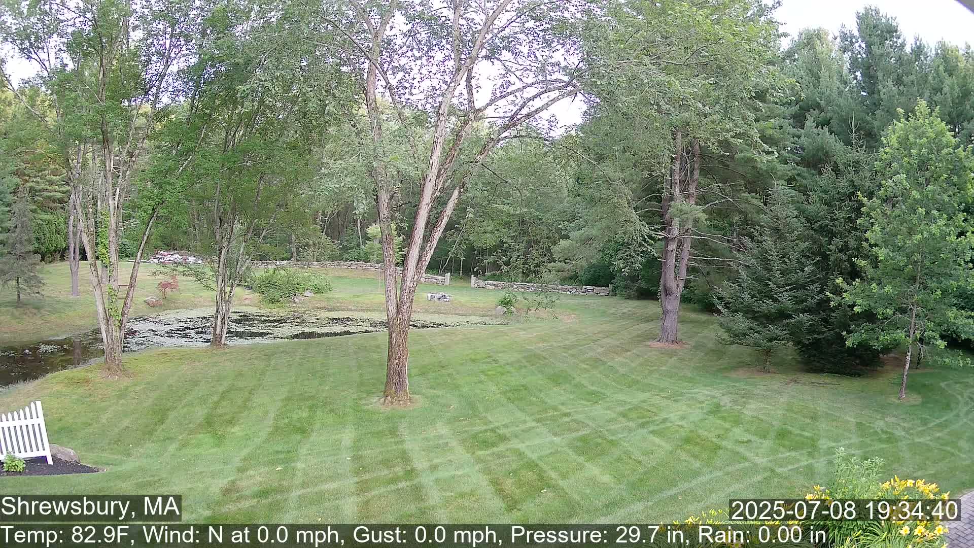 Scenic Pond and Trees Live Cam - Shrewsbury, Massachusetts , USA