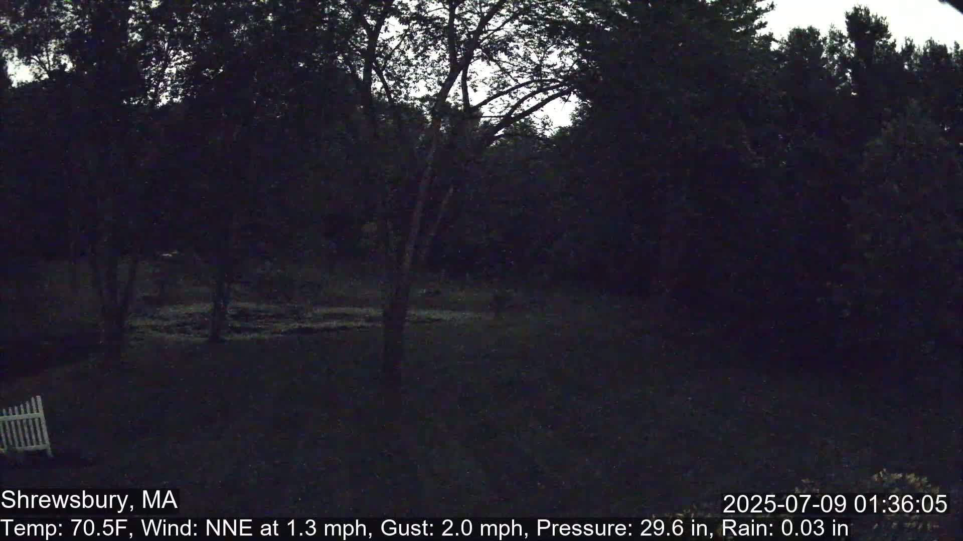 Scenic Pond and Trees Live Cam - Shrewsbury, Massachusetts , USA