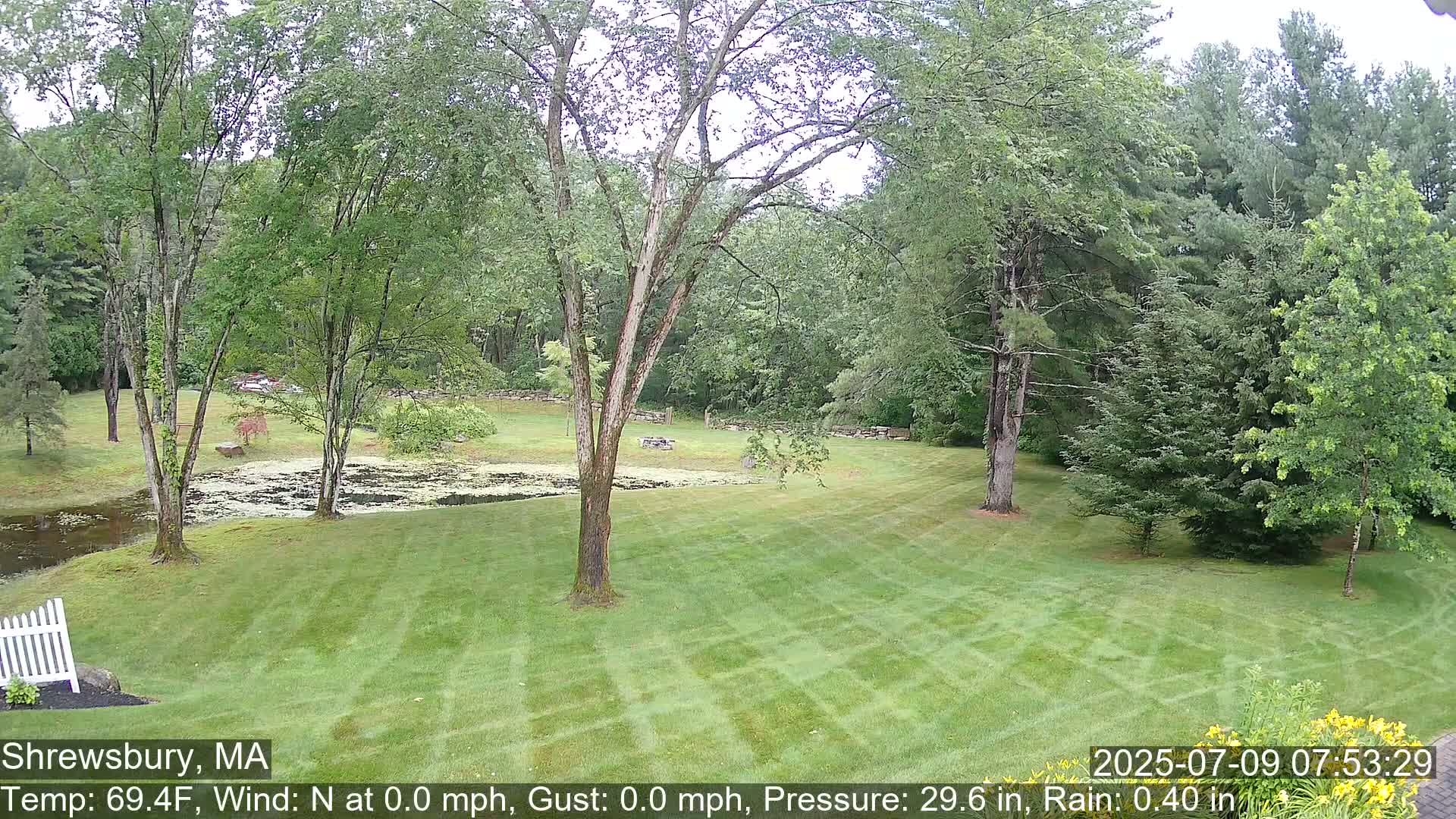 Scenic Pond and Trees Live Cam - Shrewsbury, Massachusetts , USA