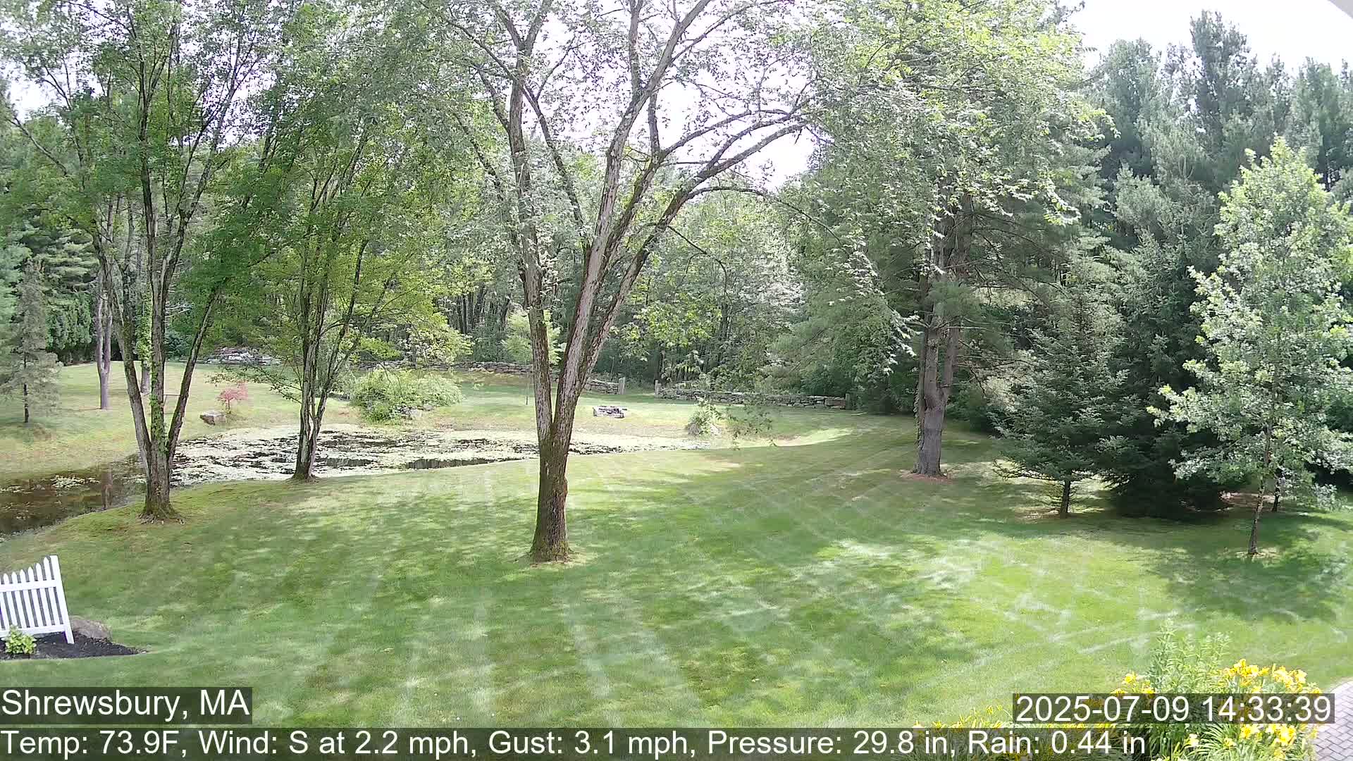 Scenic Pond and Trees Live Cam - Shrewsbury, Massachusetts , USA