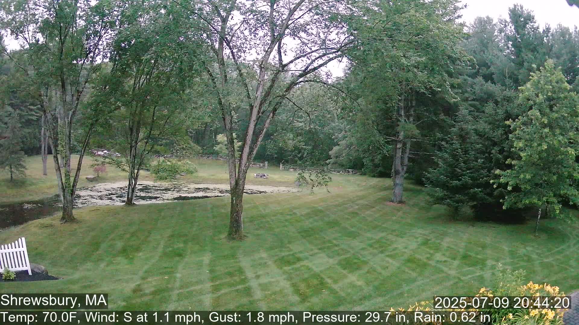 Scenic Pond and Trees Live Cam - Shrewsbury, Massachusetts , USA
