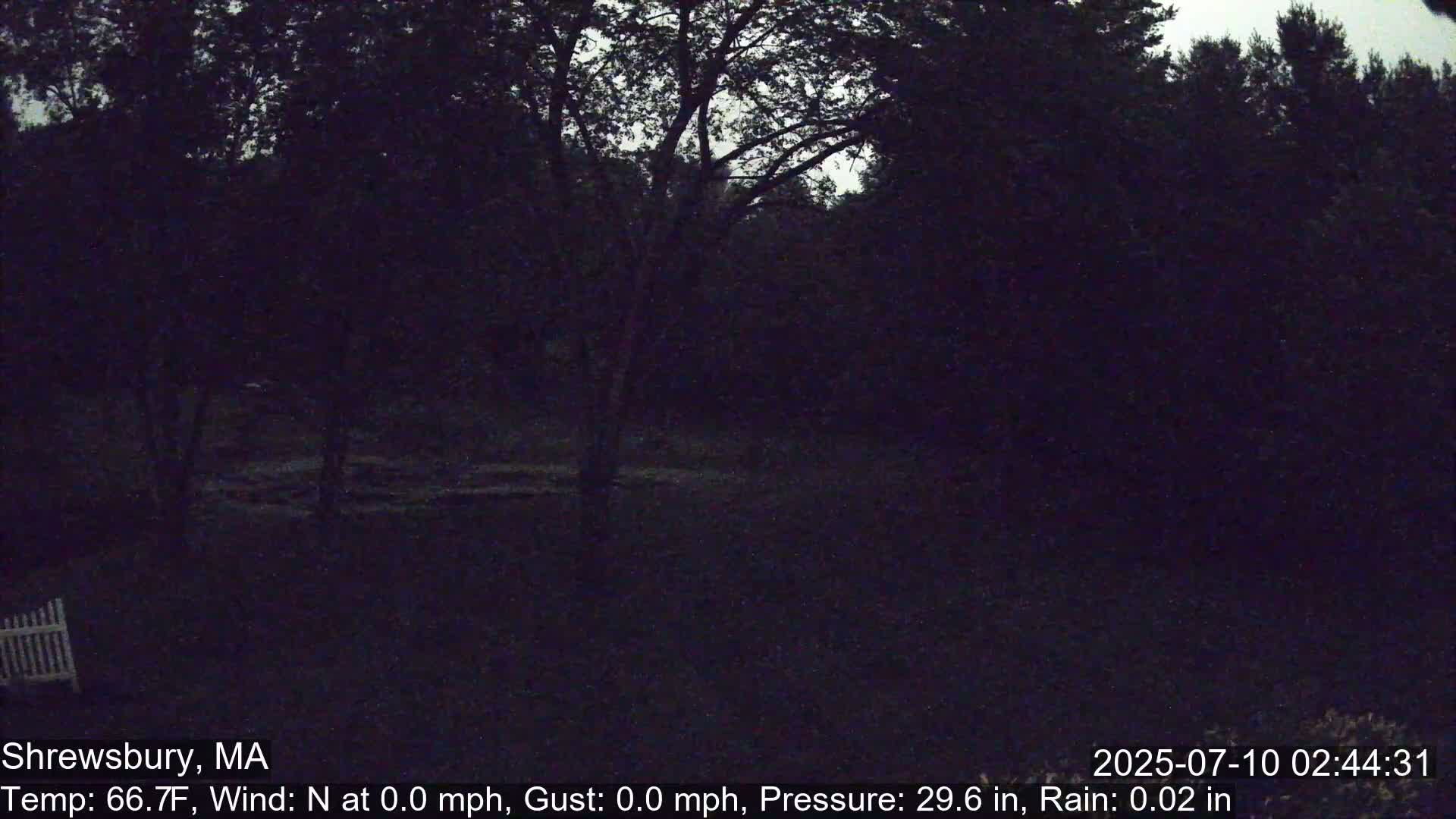 Scenic Pond and Trees Live Cam - Shrewsbury, Massachusetts , USA