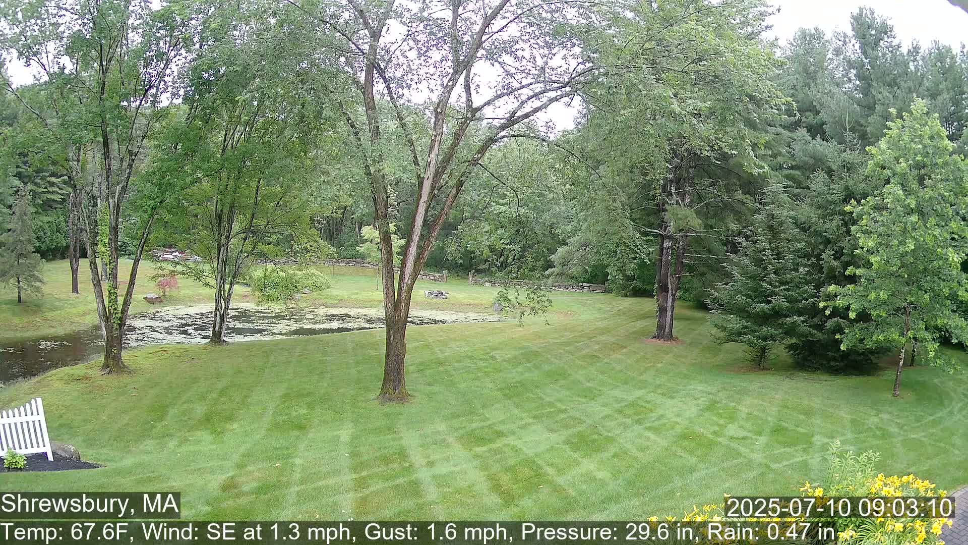 Scenic Pond and Trees Live Cam - Shrewsbury, Massachusetts , USA