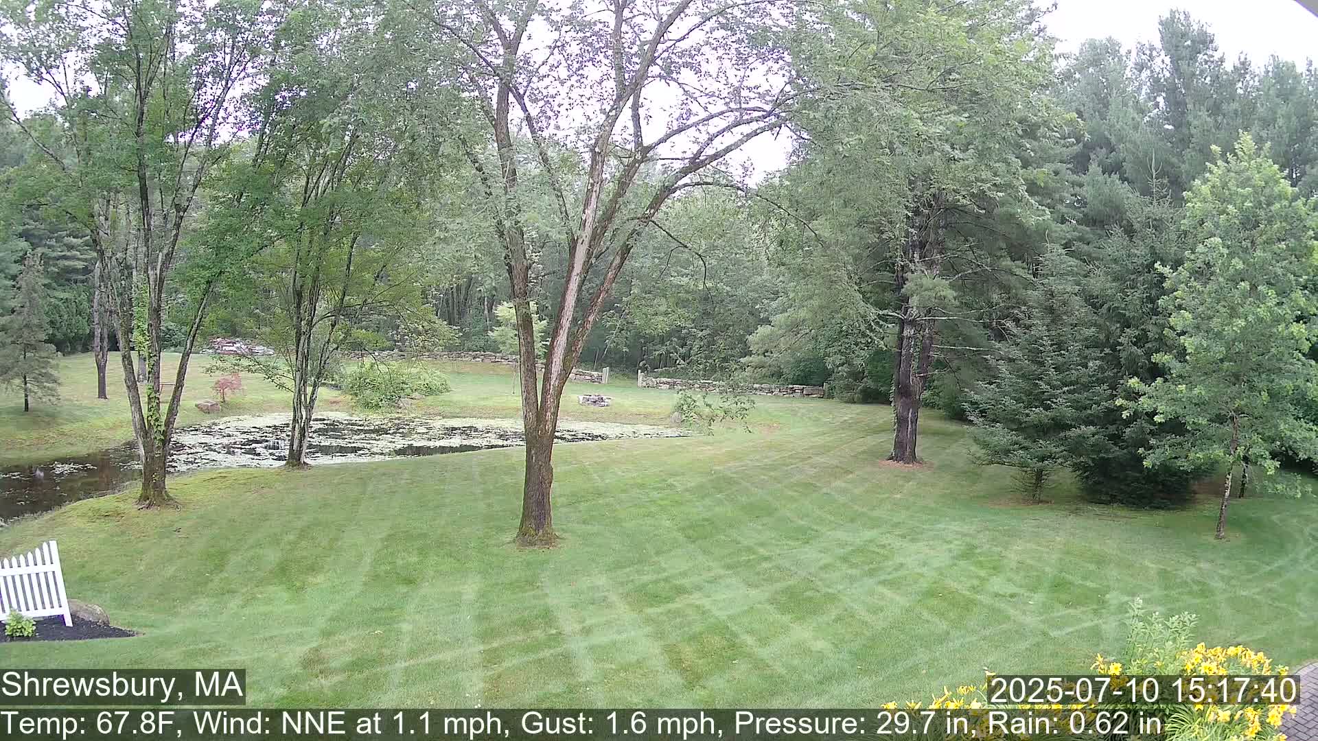 Scenic Pond and Trees Live Cam - Shrewsbury, Massachusetts , USA