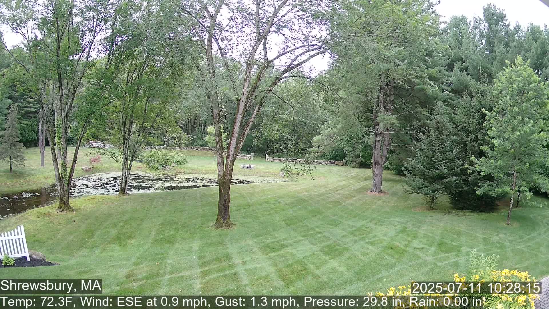 Scenic Pond and Trees Live Cam - Shrewsbury, Massachusetts , USA