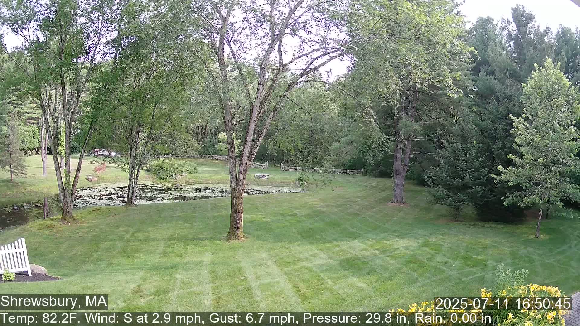 Scenic Pond and Trees Live Cam - Shrewsbury, Massachusetts , USA