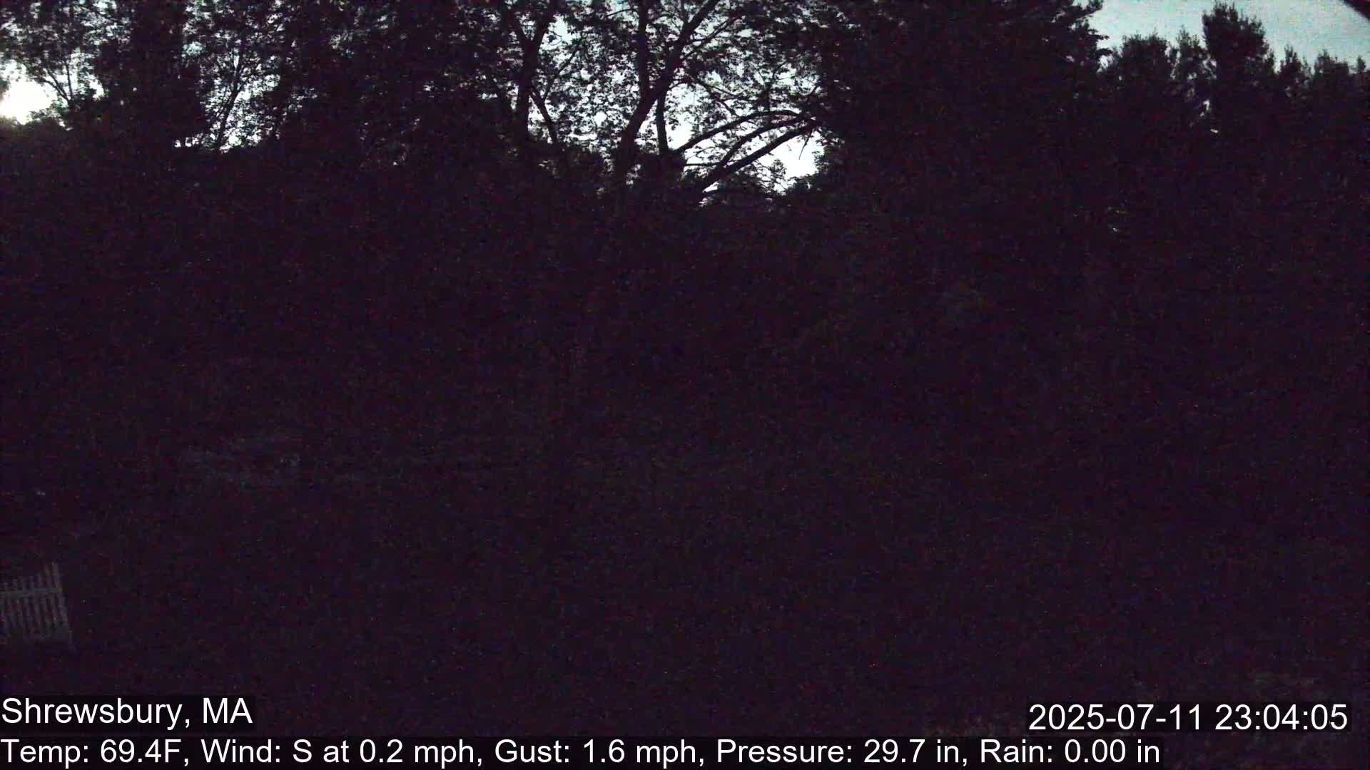 Scenic Pond and Trees Live Cam - Shrewsbury, Massachusetts , USA