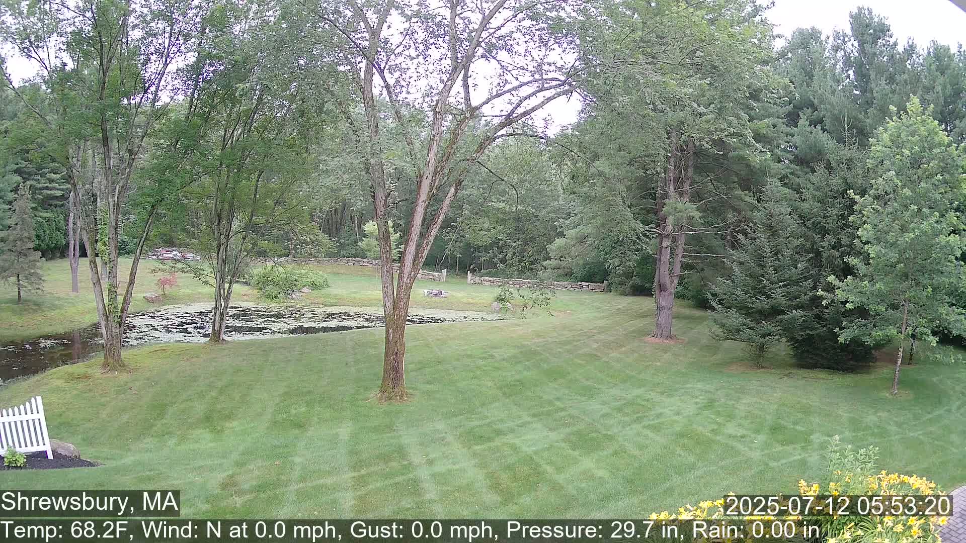 Scenic Pond and Trees Live Cam - Shrewsbury, Massachusetts , USA