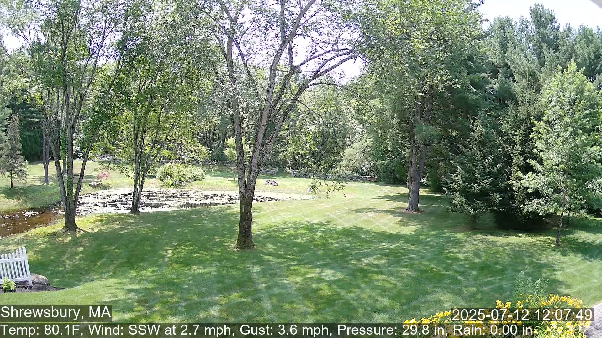 Scenic Pond and Trees Live Cam - Shrewsbury, Massachusetts , USA