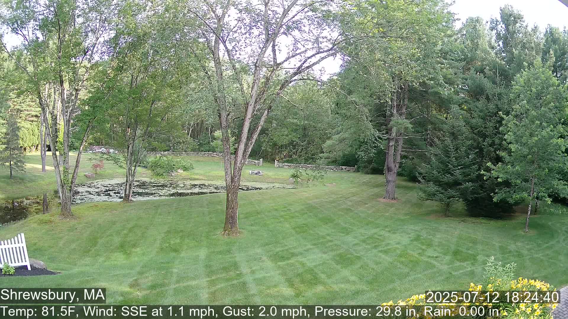 Scenic Pond and Trees Live Cam - Shrewsbury, Massachusetts , USA