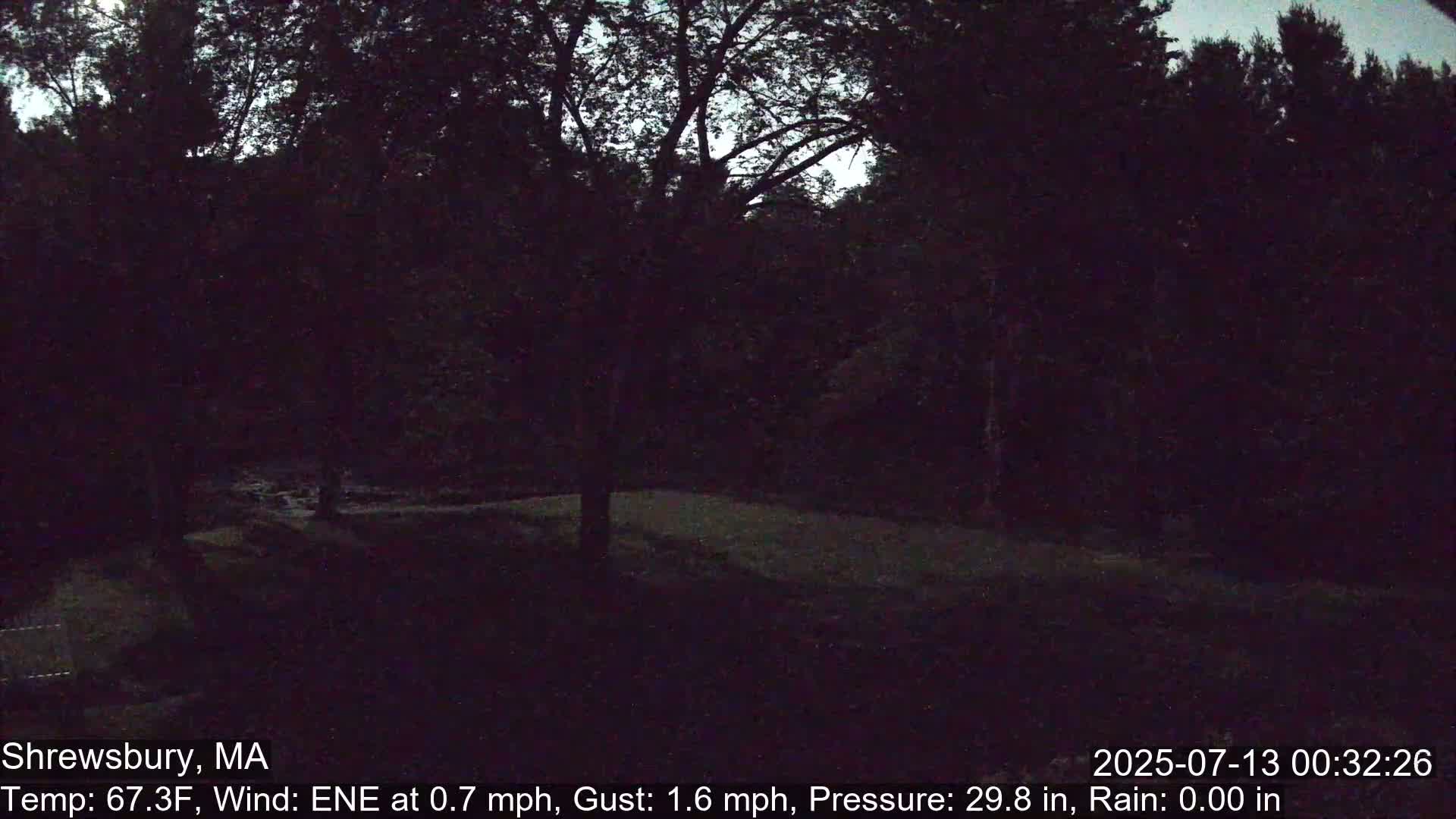 Scenic Pond and Trees Live Cam - Shrewsbury, Massachusetts , USA
