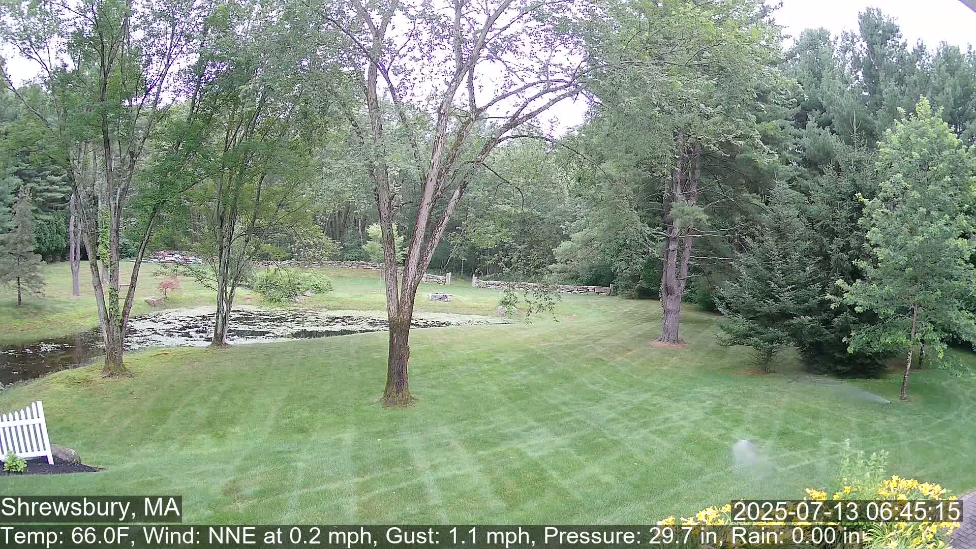 Scenic Pond and Trees Live Cam - Shrewsbury, Massachusetts , USA