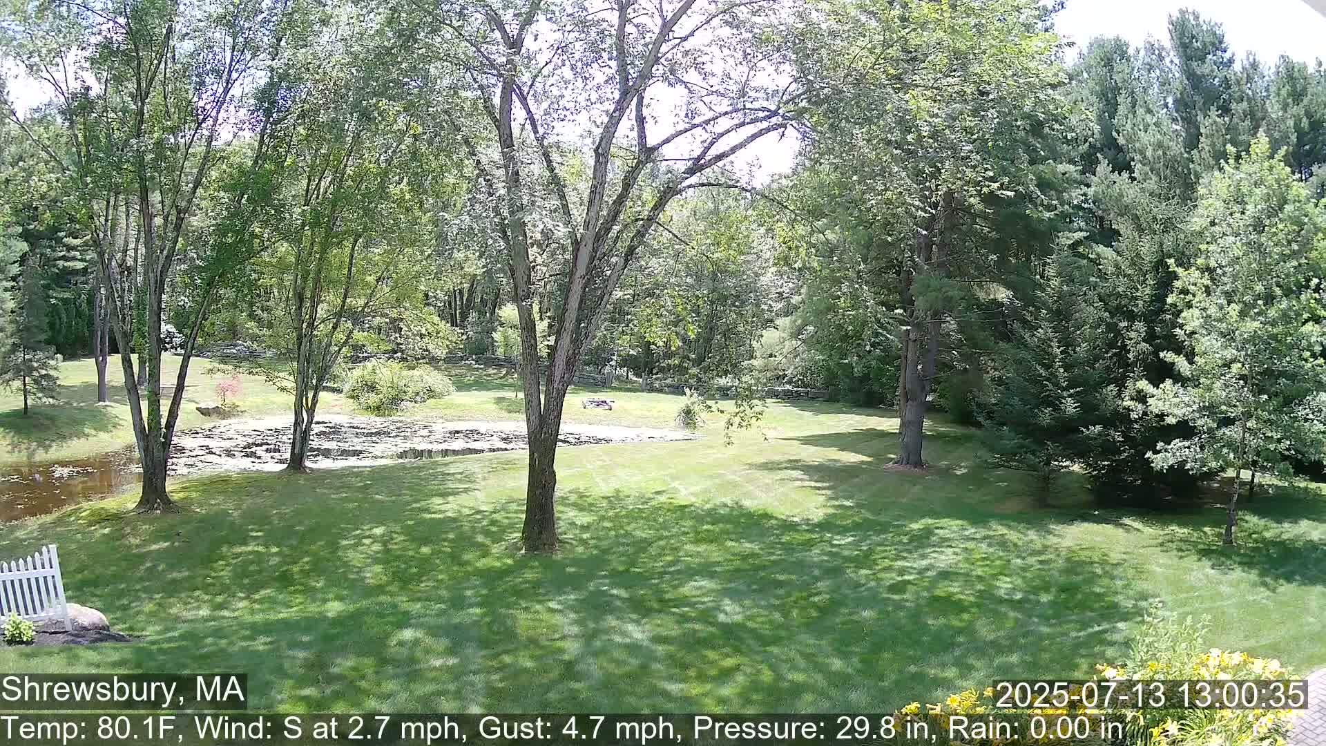 Scenic Pond and Trees Live Cam - Shrewsbury, Massachusetts , USA