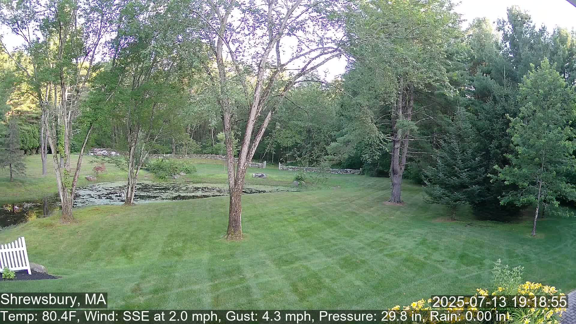 Scenic Pond and Trees Live Cam - Shrewsbury, Massachusetts , USA