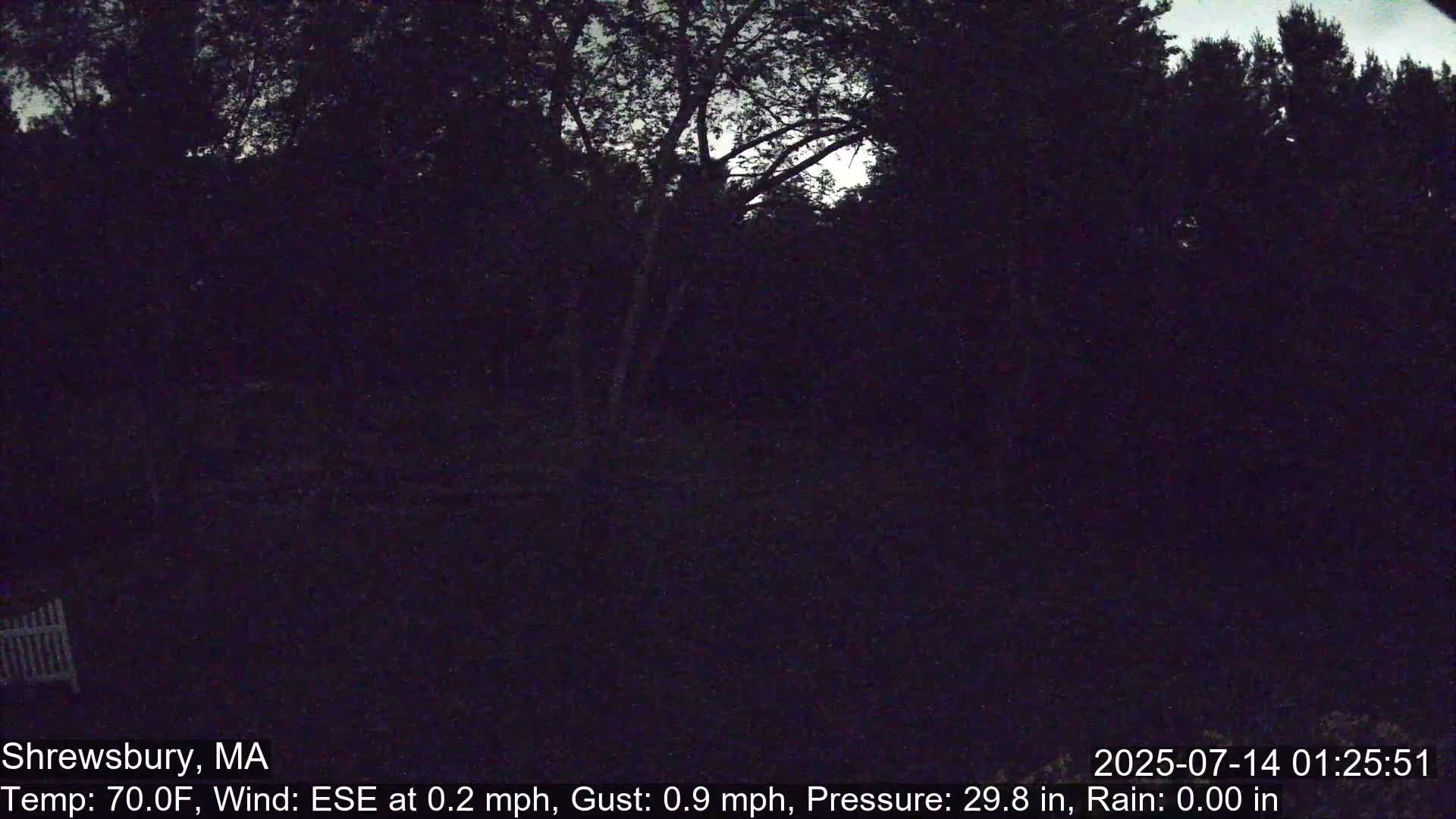 Scenic Pond and Trees Live Cam - Shrewsbury, Massachusetts , USA