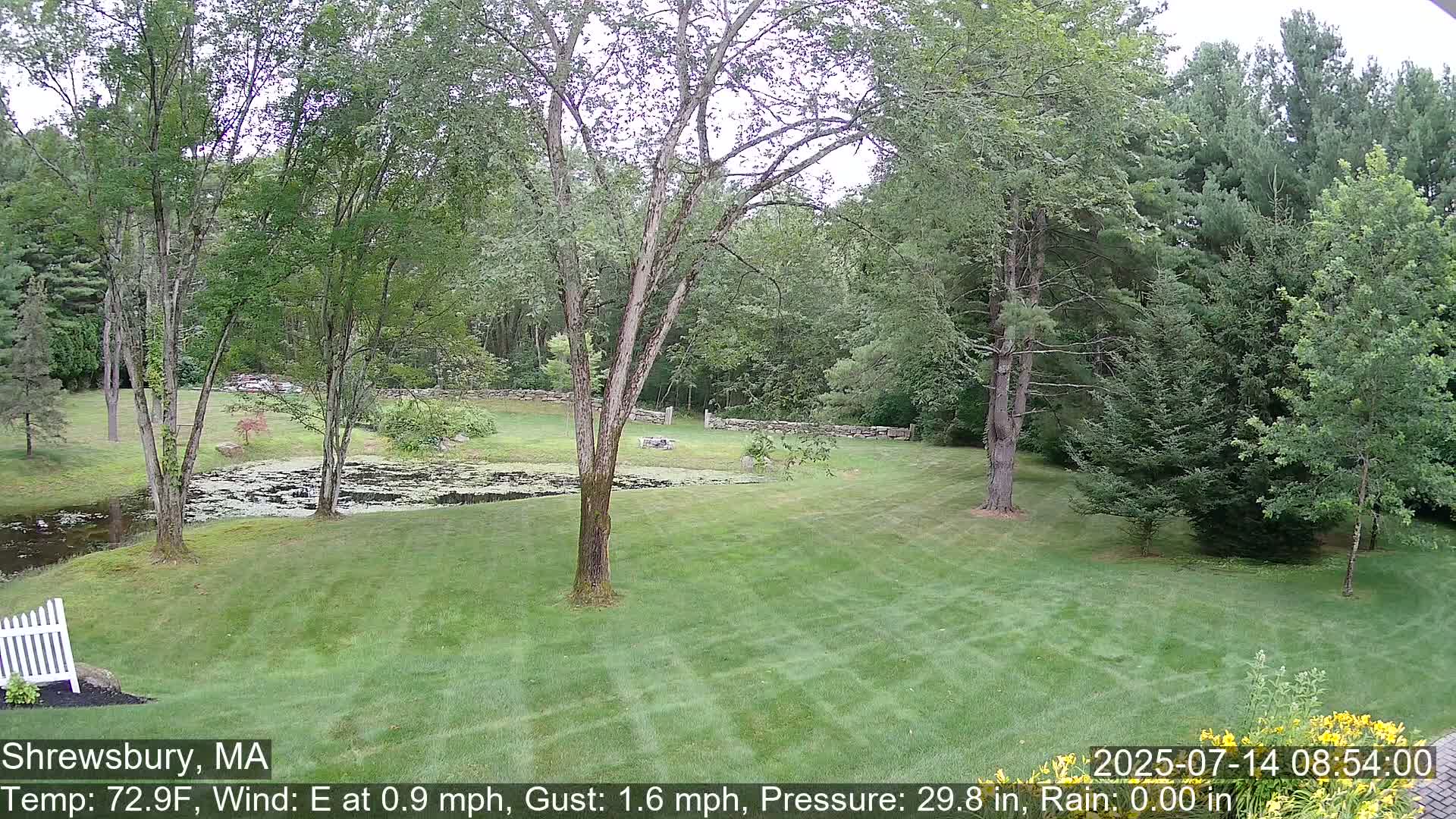 Scenic Pond and Trees Live Cam - Shrewsbury, Massachusetts , USA