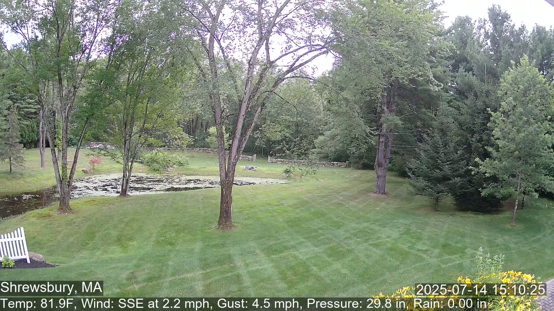 Scenic Pond and Trees Live Cam - Shrewsbury, Massachusetts , USA