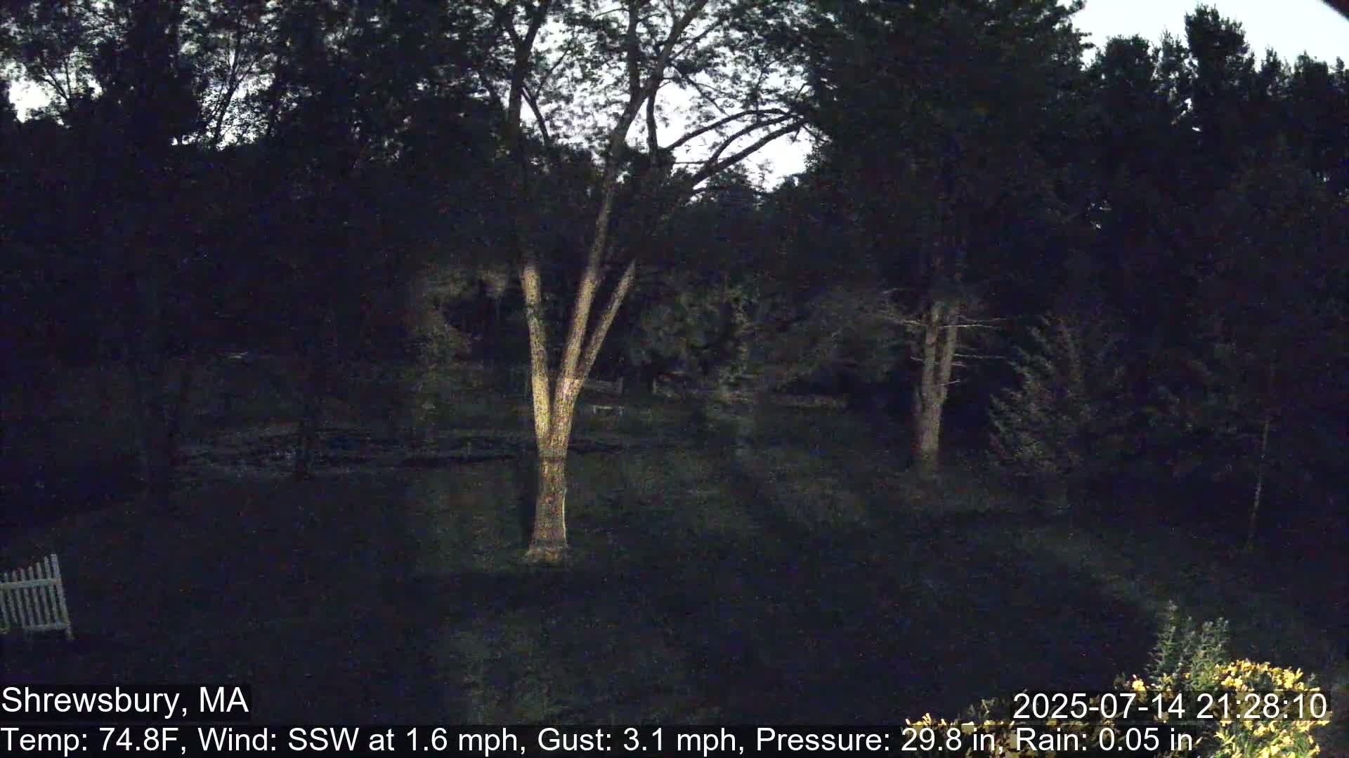 Scenic Pond and Trees Live Cam - Shrewsbury, Massachusetts , USA