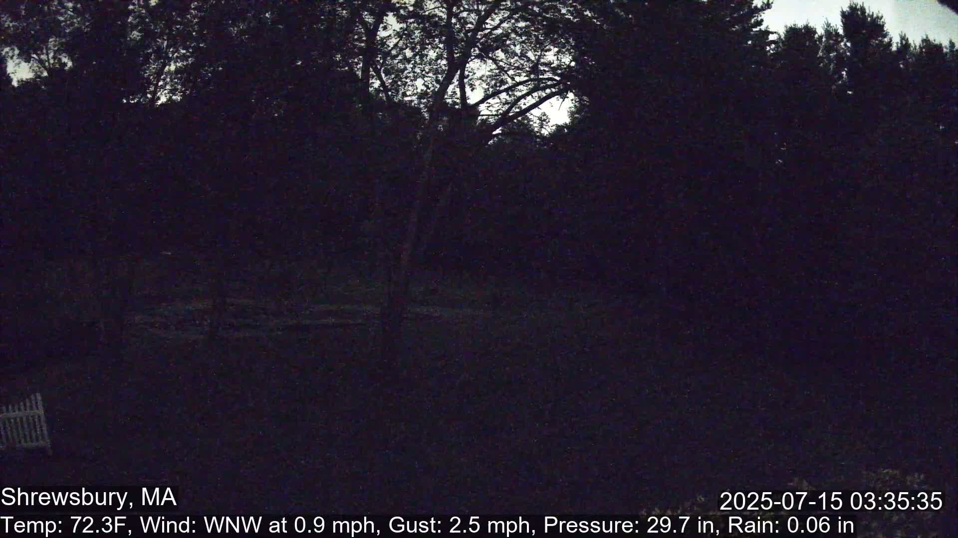 A dark nighttime scene shows a wooded area with a portion of a white fence visible in the lower left corner, under a slightly overcast sky.