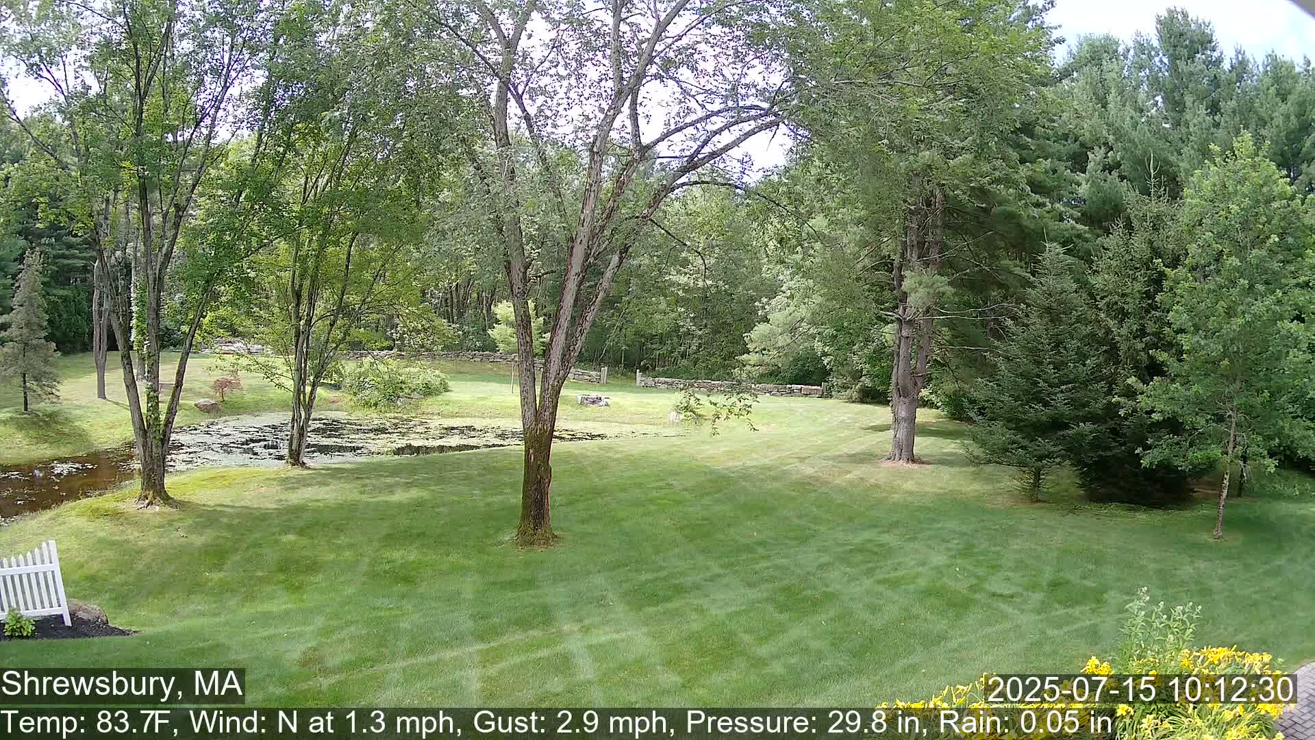 Scenic Pond and Trees Live Cam - Shrewsbury, Massachusetts , USA