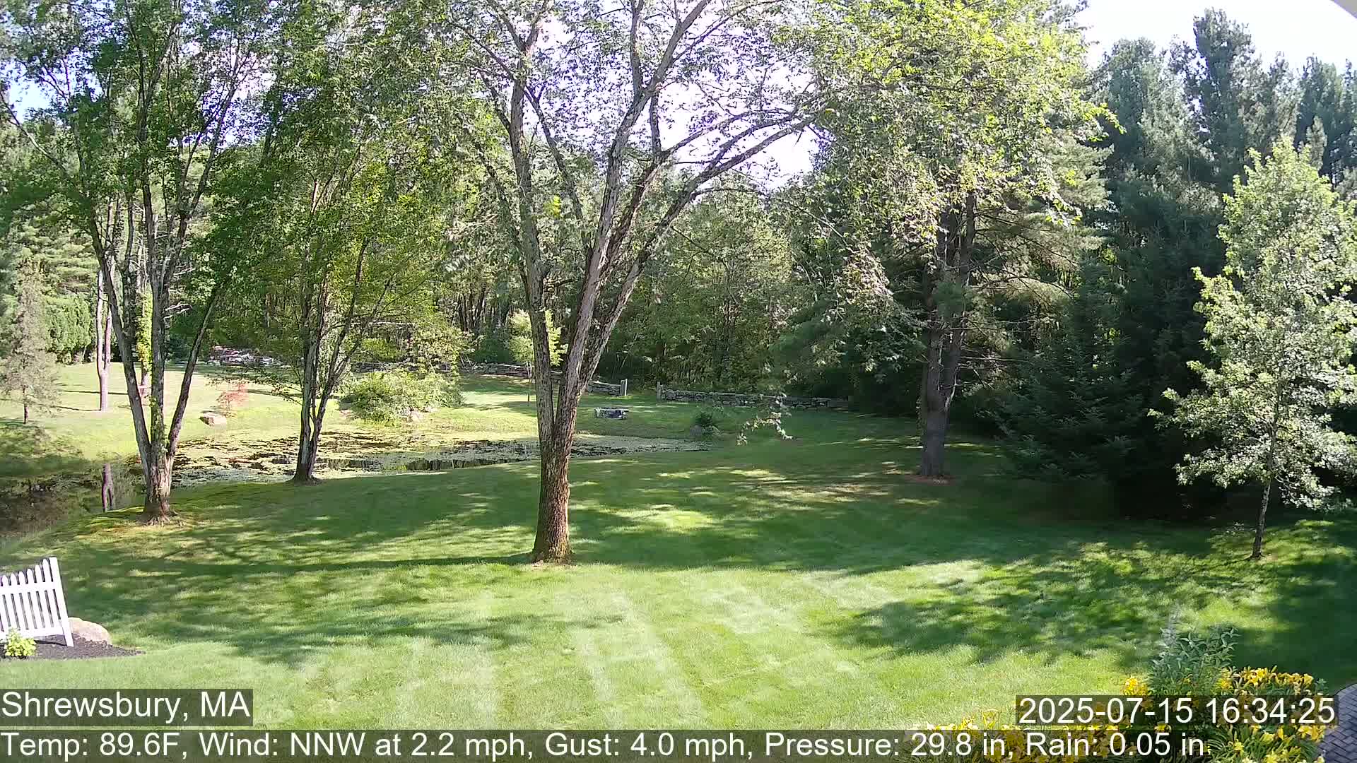 Scenic Pond and Trees Live Cam - Shrewsbury, Massachusetts , USA
