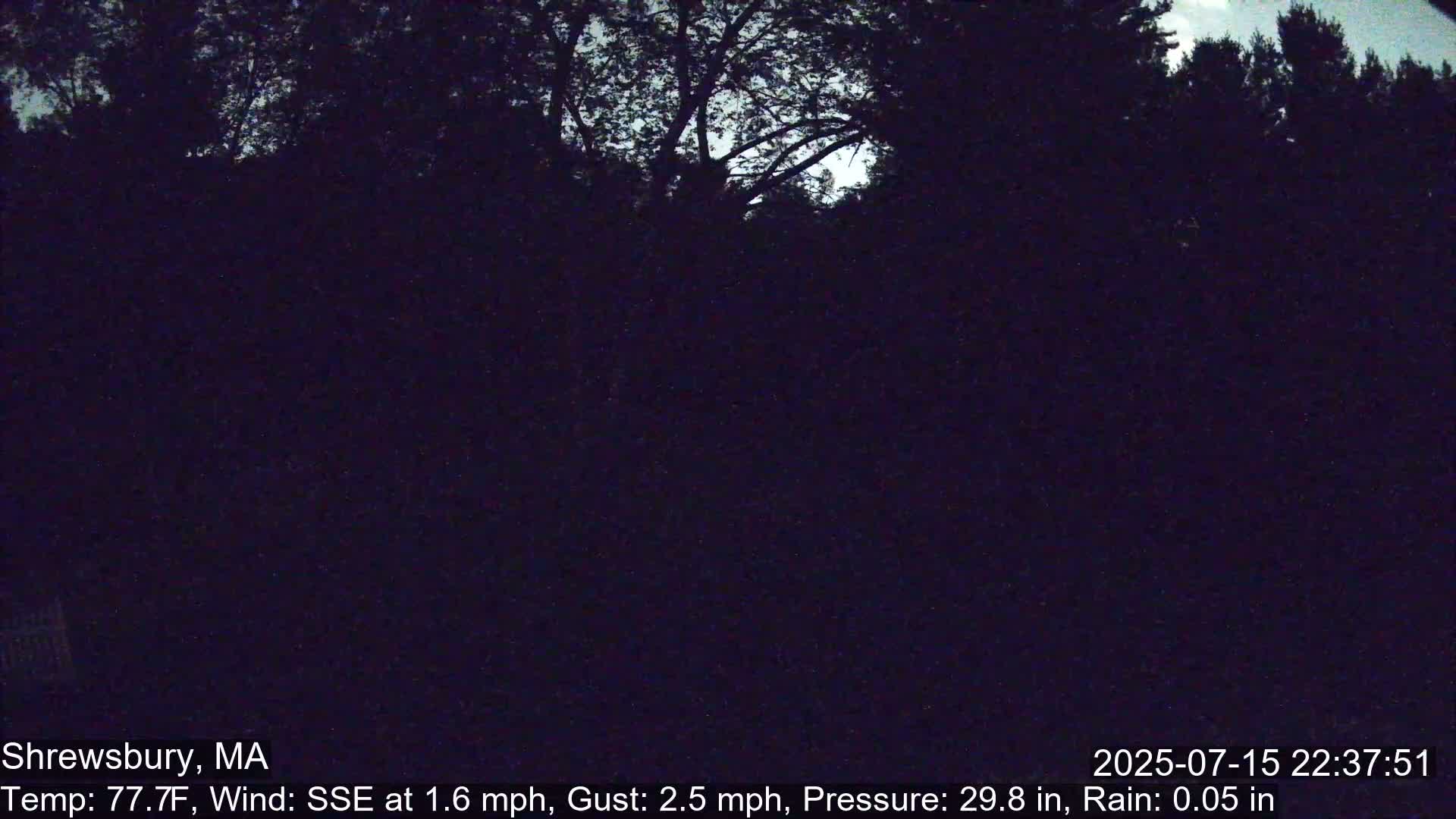 Scenic Pond and Trees Live Cam - Shrewsbury, Massachusetts , USA