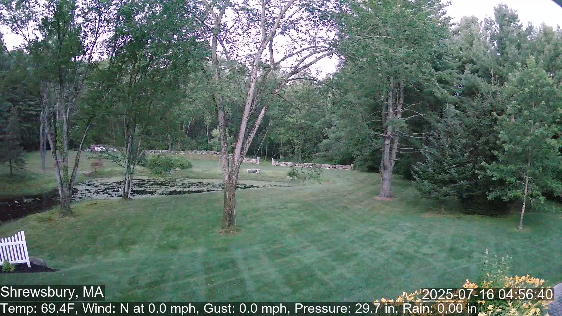 Scenic Pond and Trees Live Cam - Shrewsbury, Massachusetts , USA