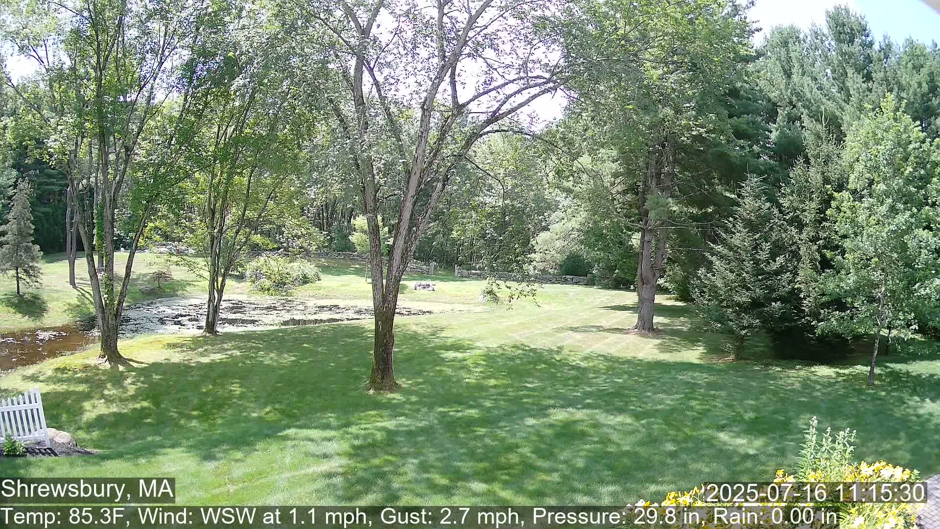 Scenic Pond and Trees Live Cam - Shrewsbury, Massachusetts , USA