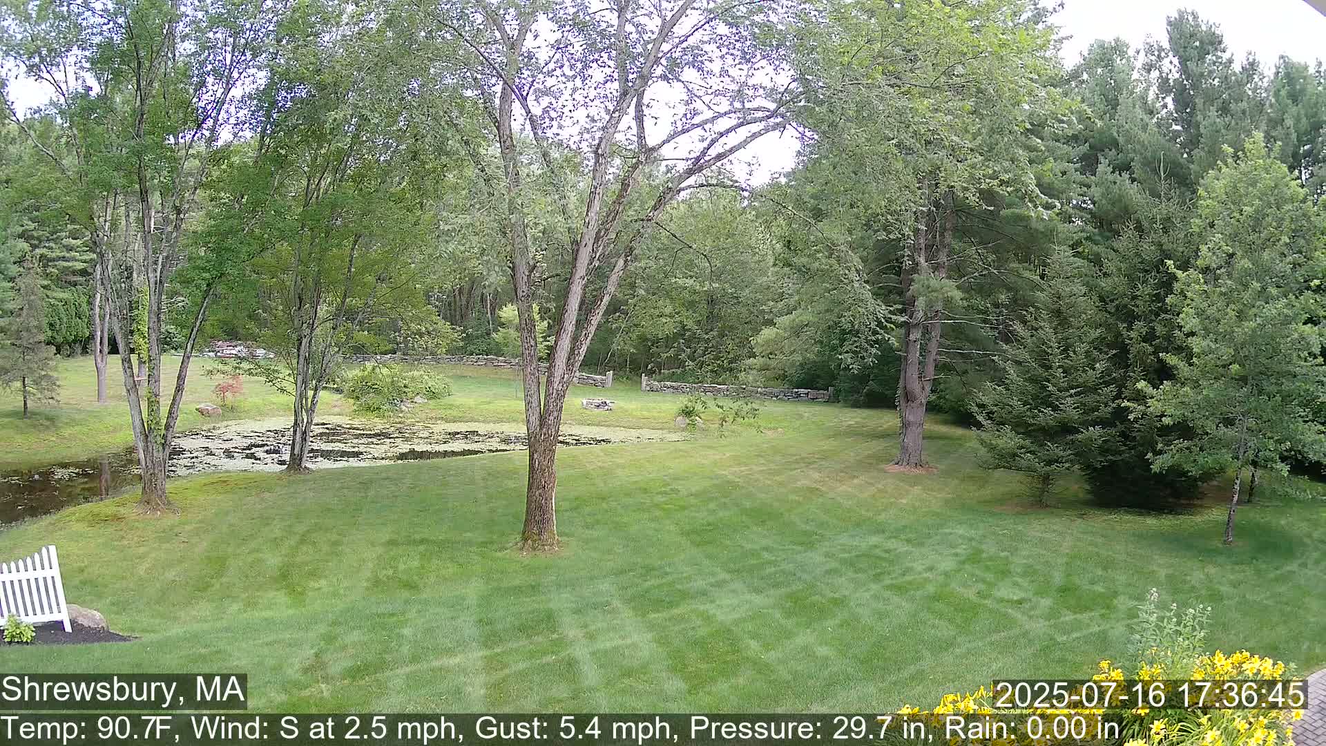 Scenic Pond and Trees Live Cam - Shrewsbury, Massachusetts , USA