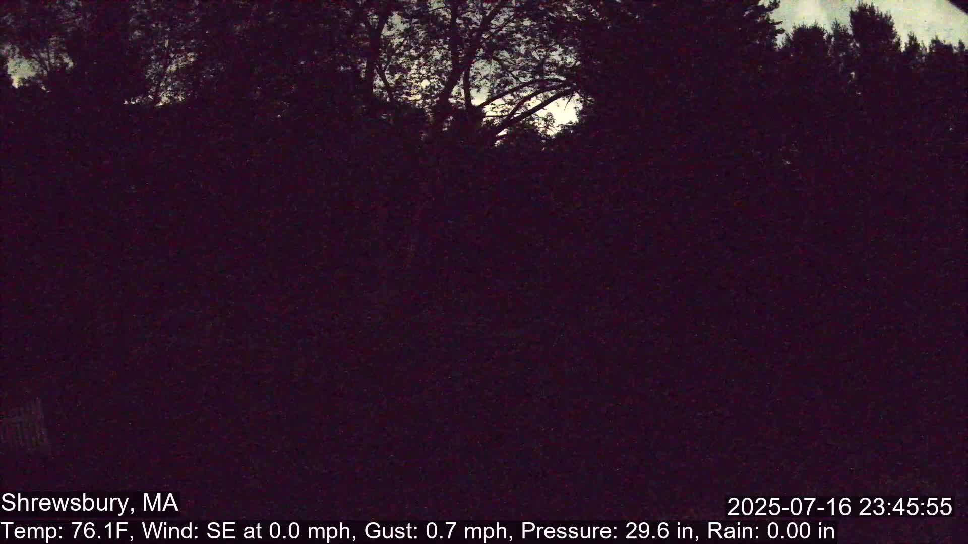 Scenic Pond and Trees Live Cam - Shrewsbury, Massachusetts , USA