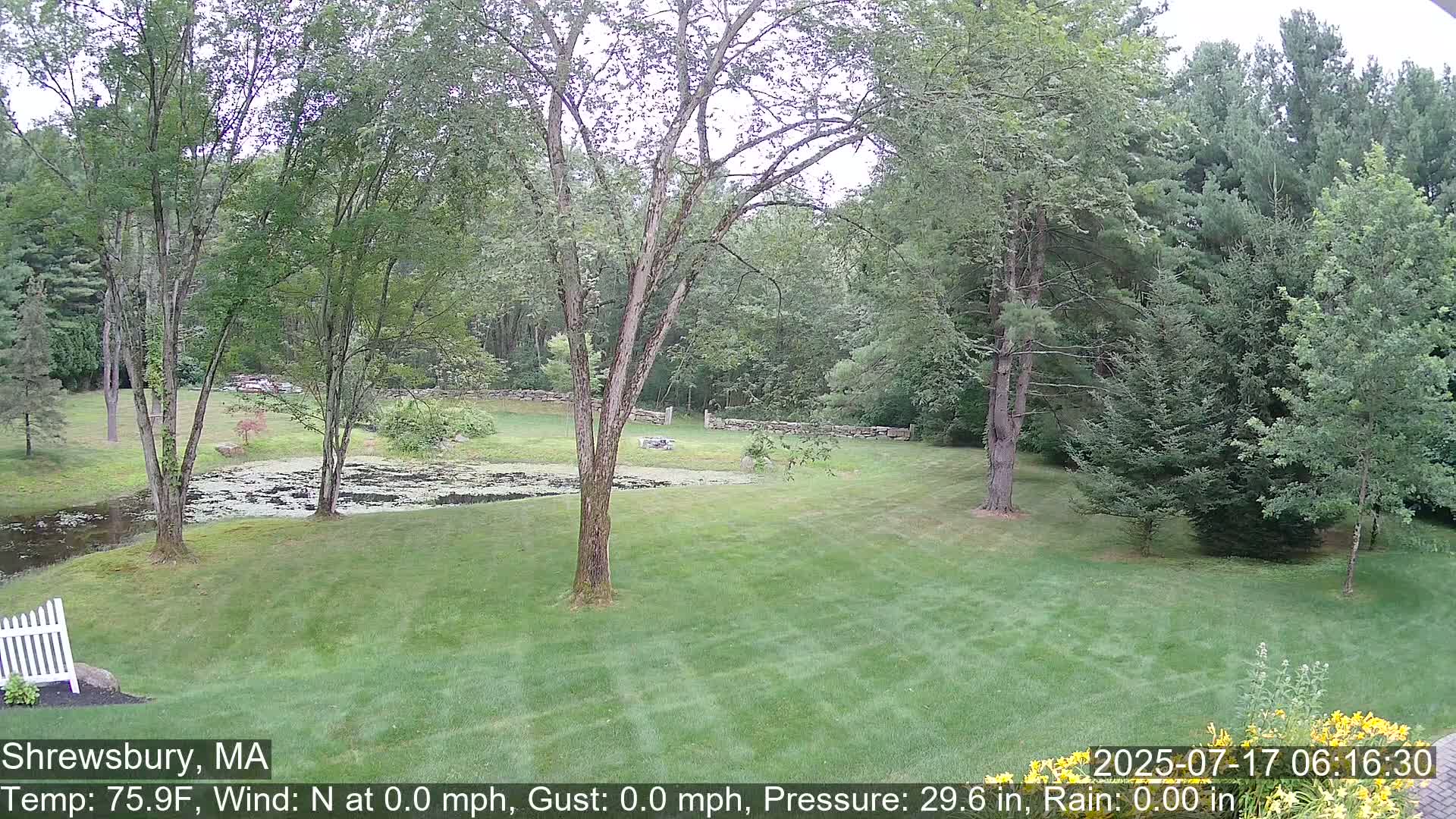 Scenic Pond and Trees Live Cam - Shrewsbury, Massachusetts , USA