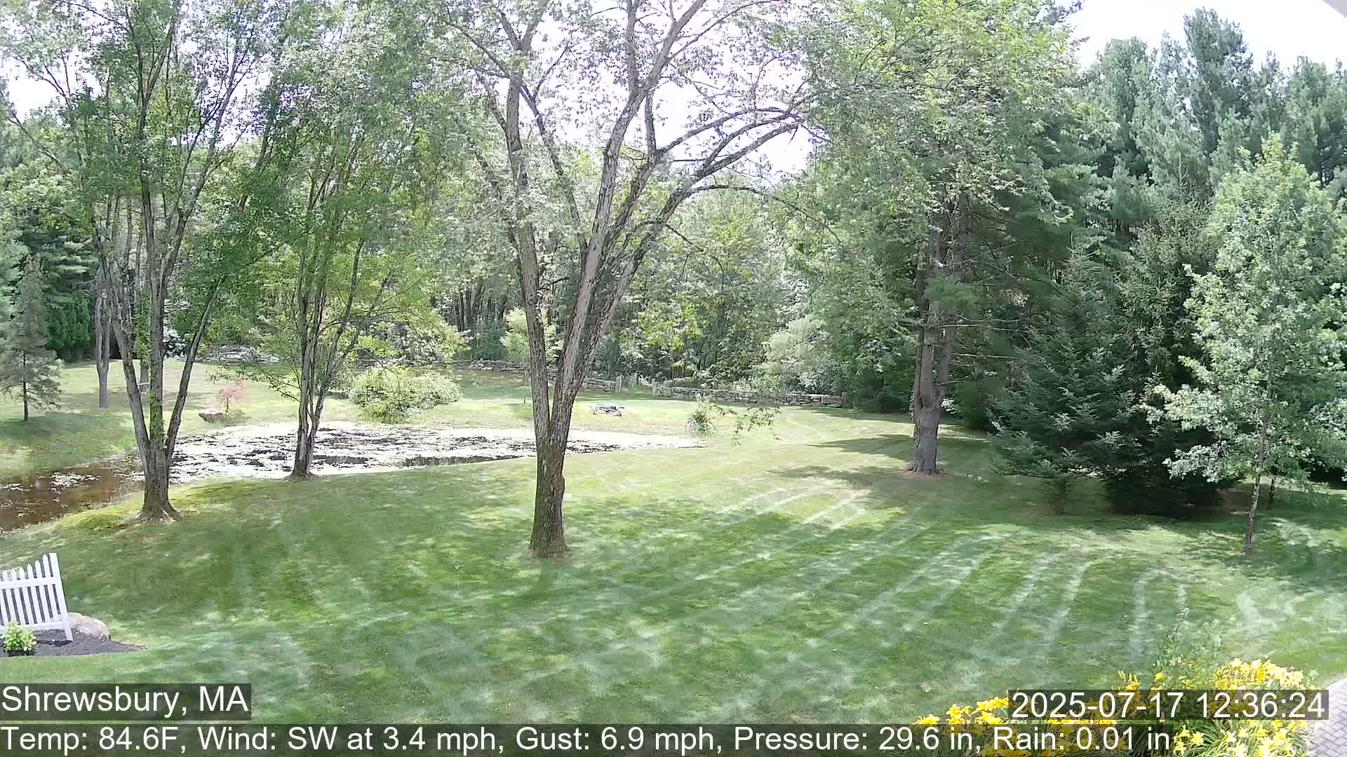 Scenic Pond and Trees Live Cam - Shrewsbury, Massachusetts , USA