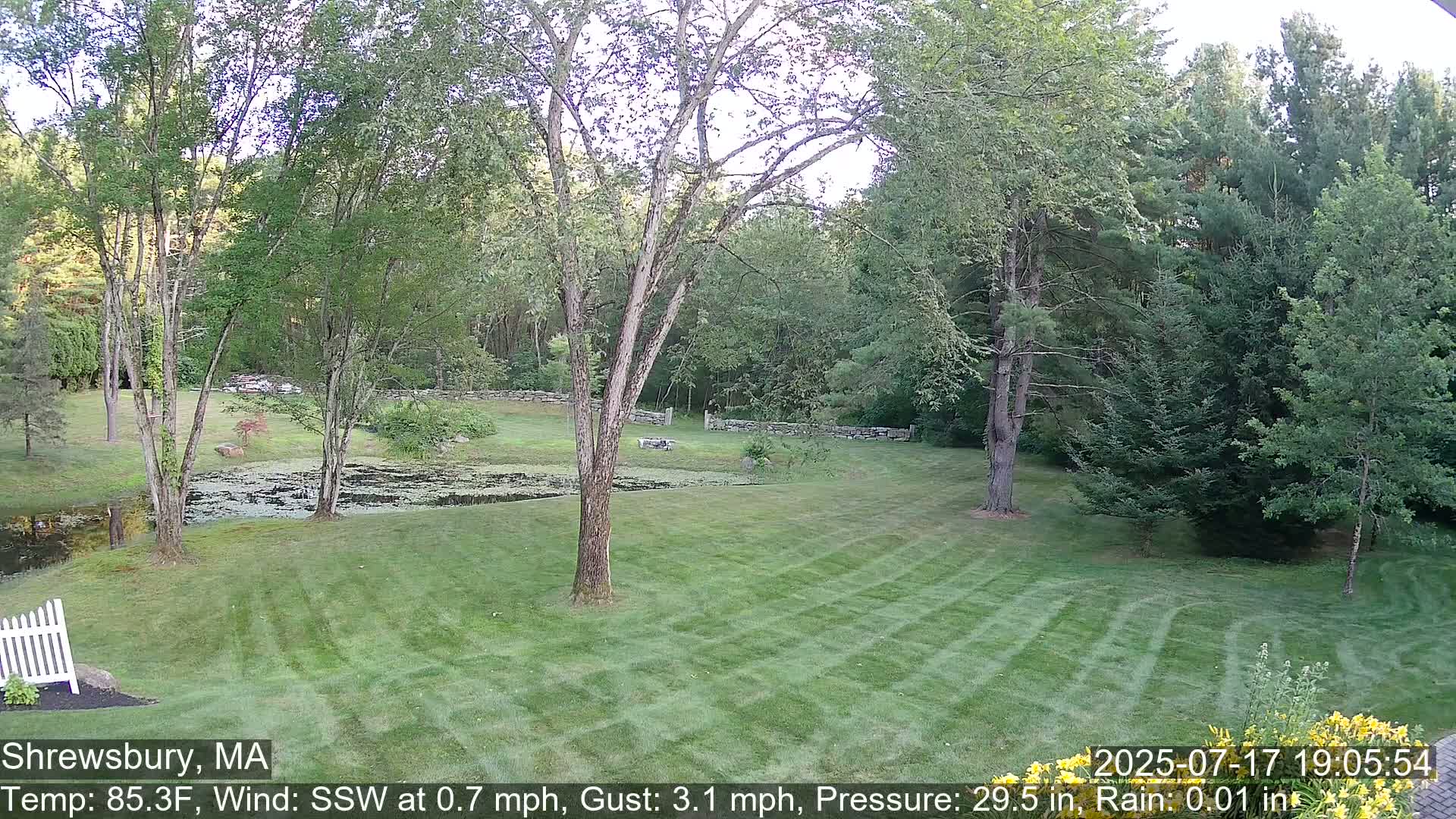 Scenic Pond and Trees Live Cam - Shrewsbury, Massachusetts , USA