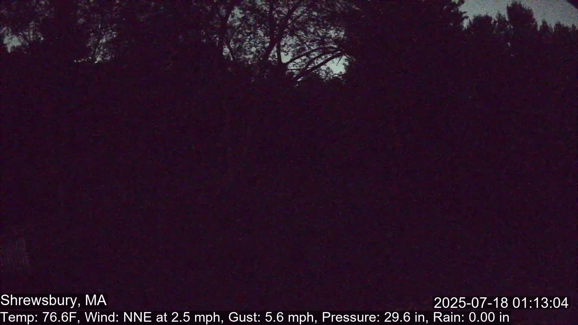 Scenic Pond and Trees Live Cam - Shrewsbury, Massachusetts , USA
