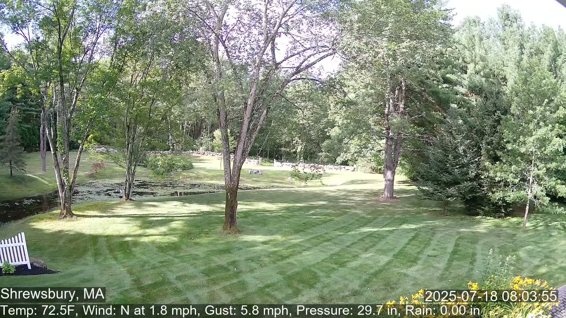 Scenic Pond and Trees Live Cam - Shrewsbury, Massachusetts , USA