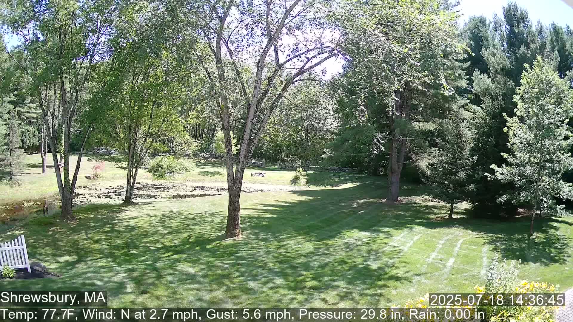 Scenic Pond and Trees Live Cam - Shrewsbury, Massachusetts , USA