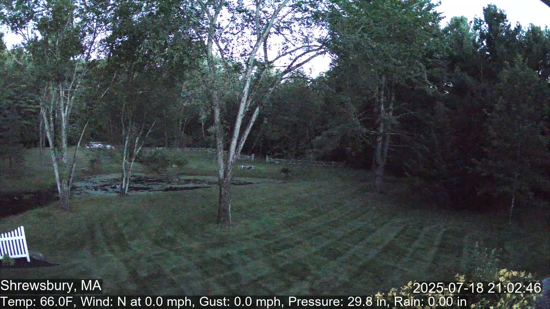 Scenic Pond and Trees Live Cam - Shrewsbury, Massachusetts , USA