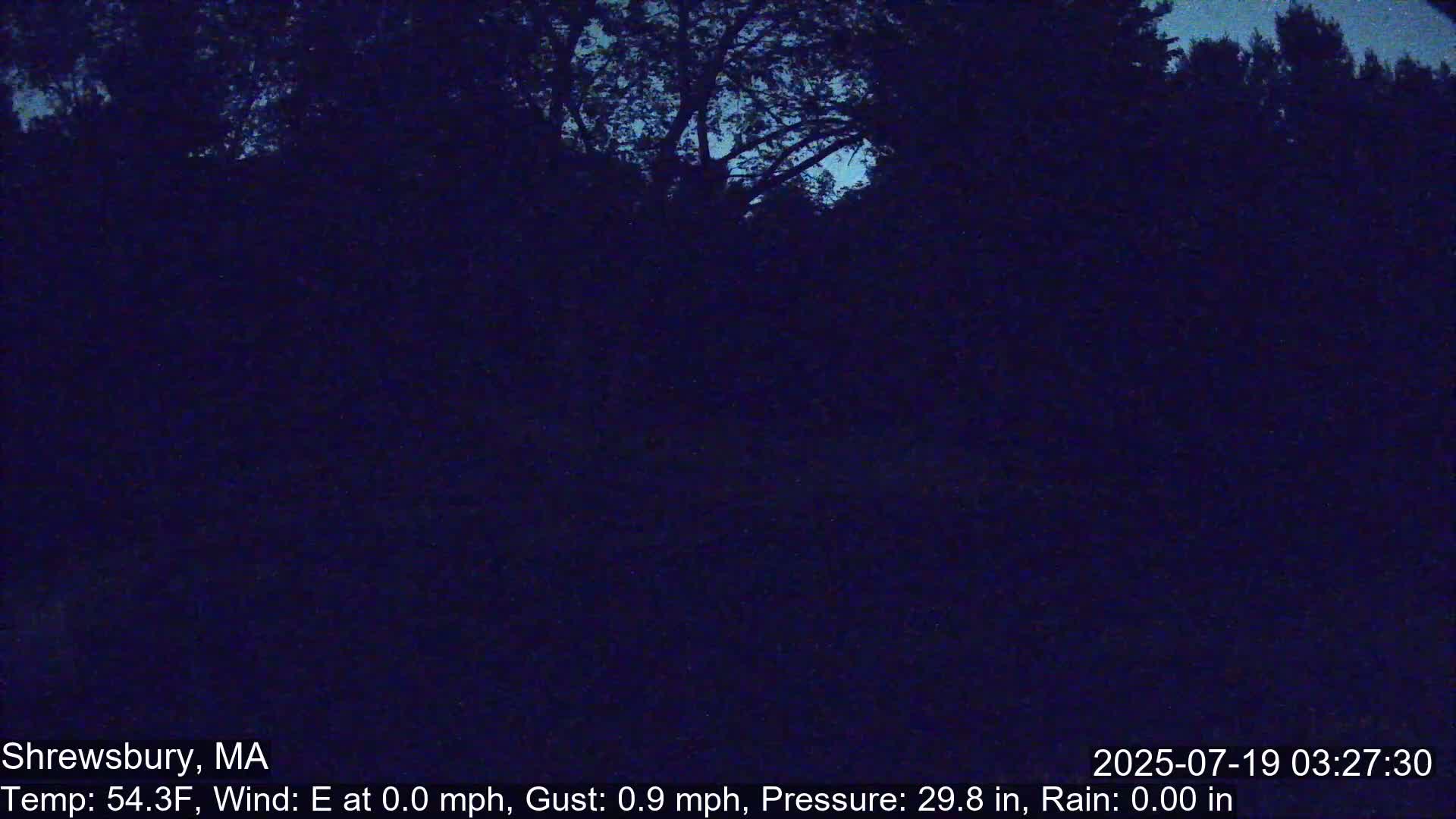 A dark, nighttime view of trees under a mostly clear sky.
