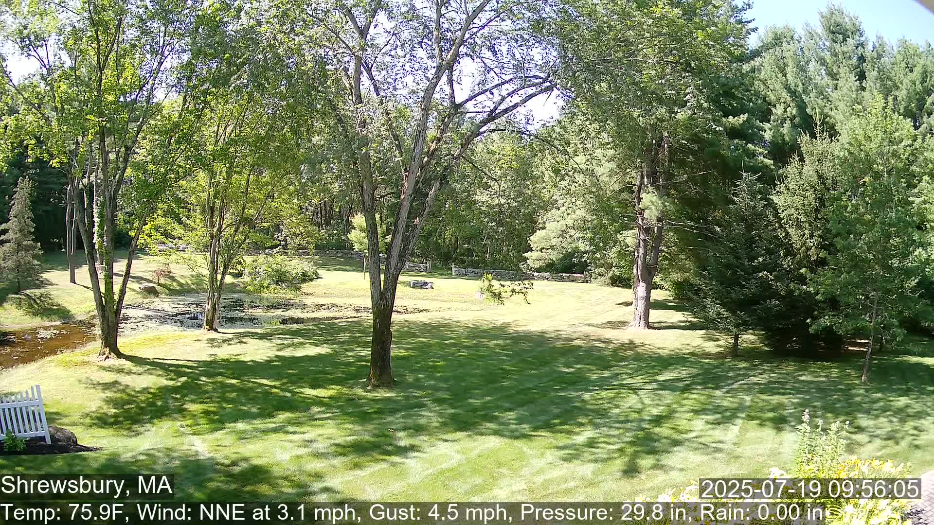 Scenic Pond and Trees Live Cam - Shrewsbury, Massachusetts , USA