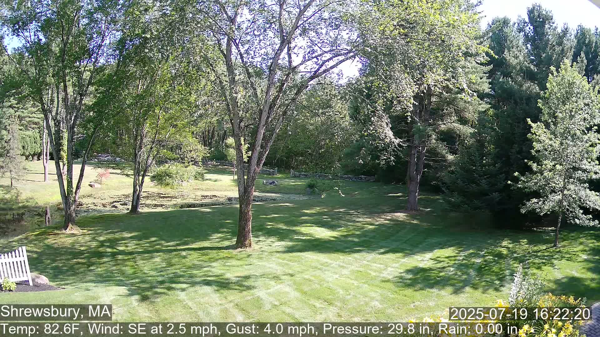 Scenic Pond and Trees Live Cam - Shrewsbury, Massachusetts , USA