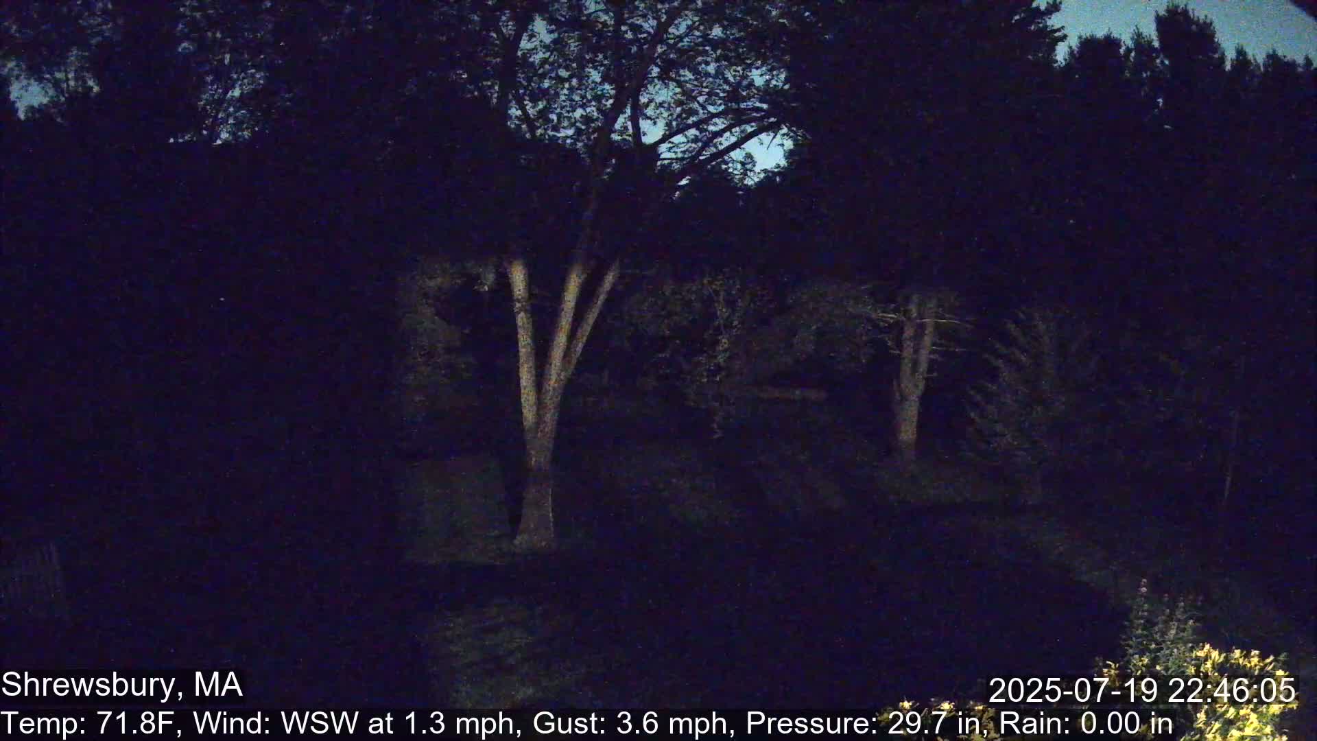 Scenic Pond and Trees Live Cam - Shrewsbury, Massachusetts , USA