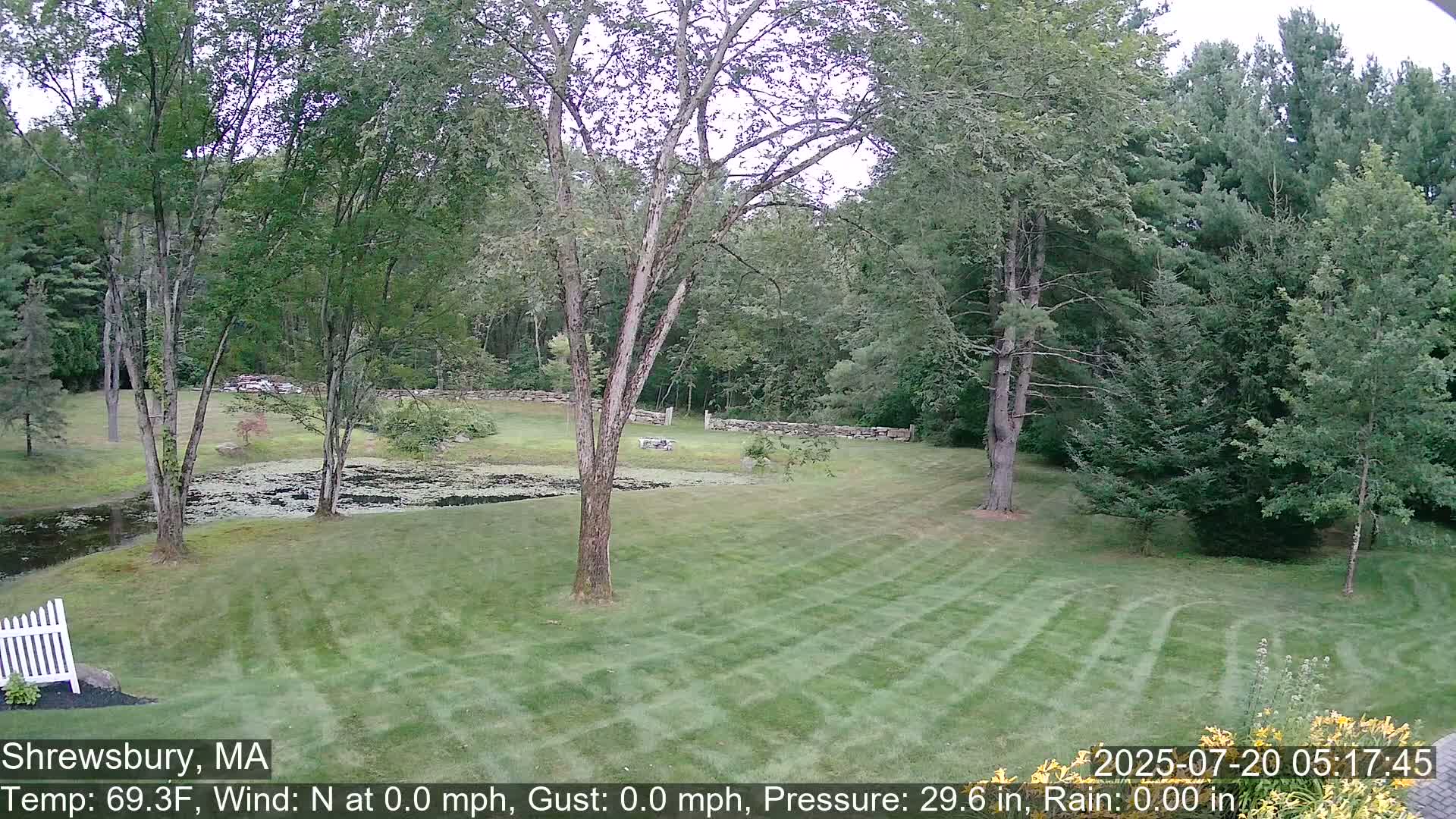 Scenic Pond and Trees Live Cam - Shrewsbury, Massachusetts , USA