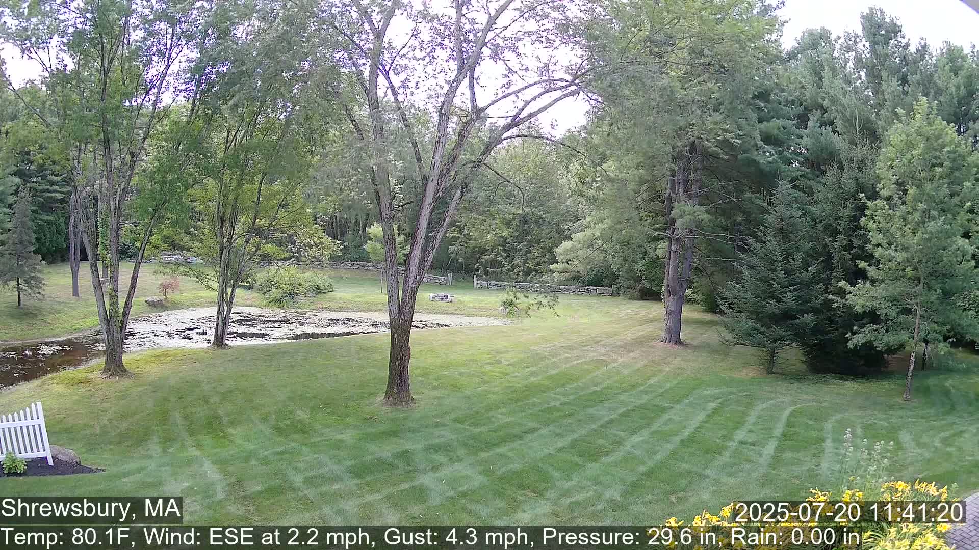 Scenic Pond and Trees Live Cam - Shrewsbury, Massachusetts , USA